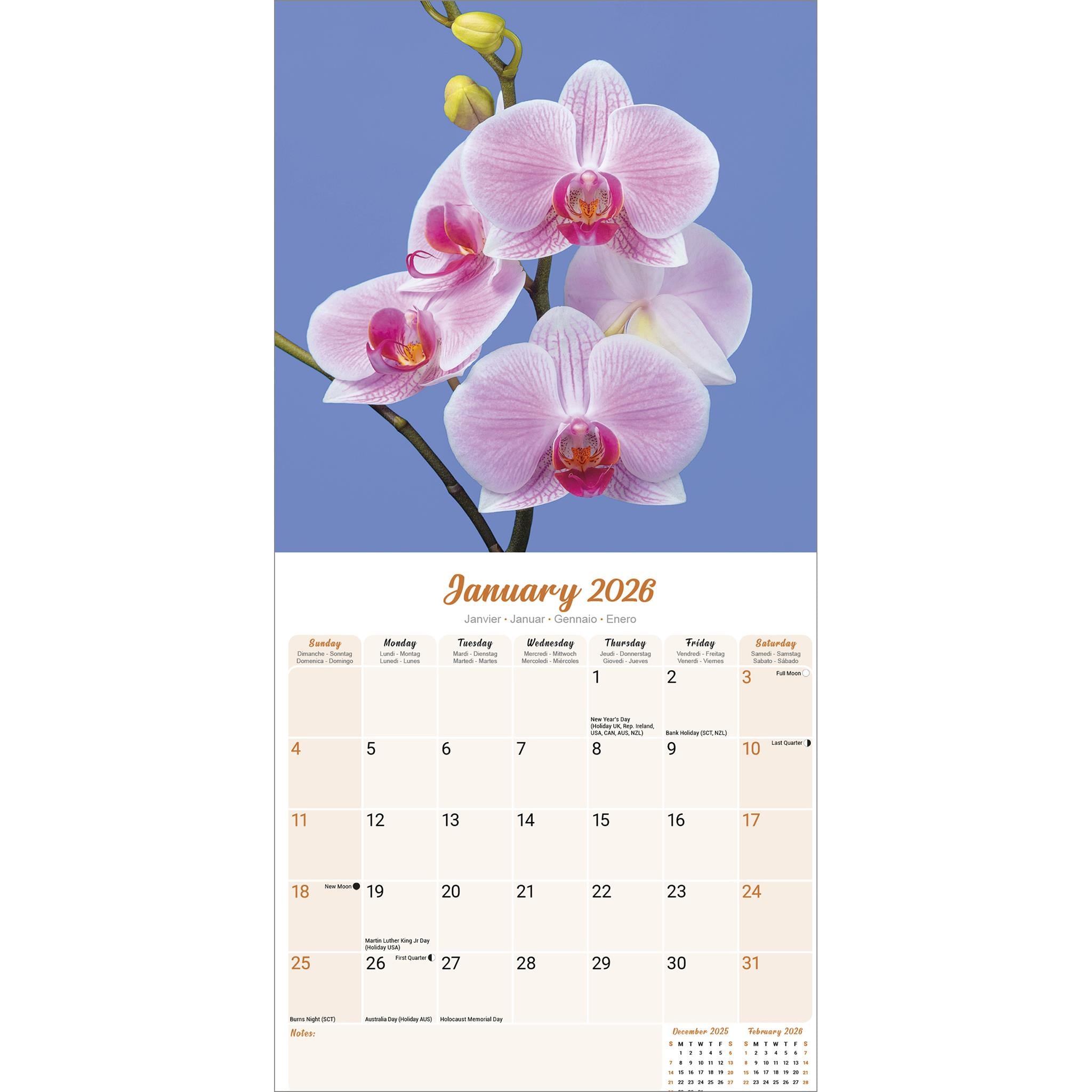 Calendrier mural Orchidées 2026