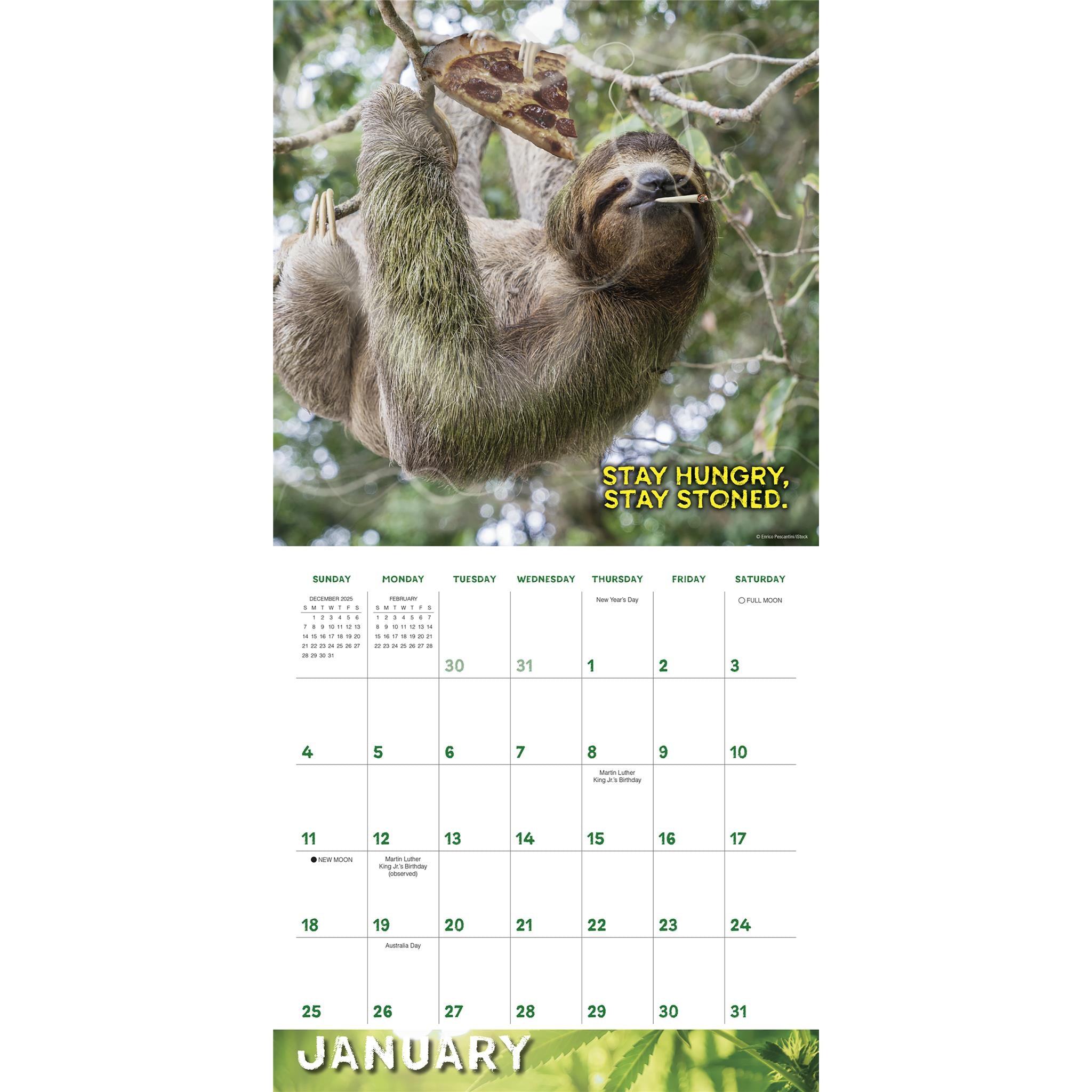 Calendrier mural Stoner Sloths 2026