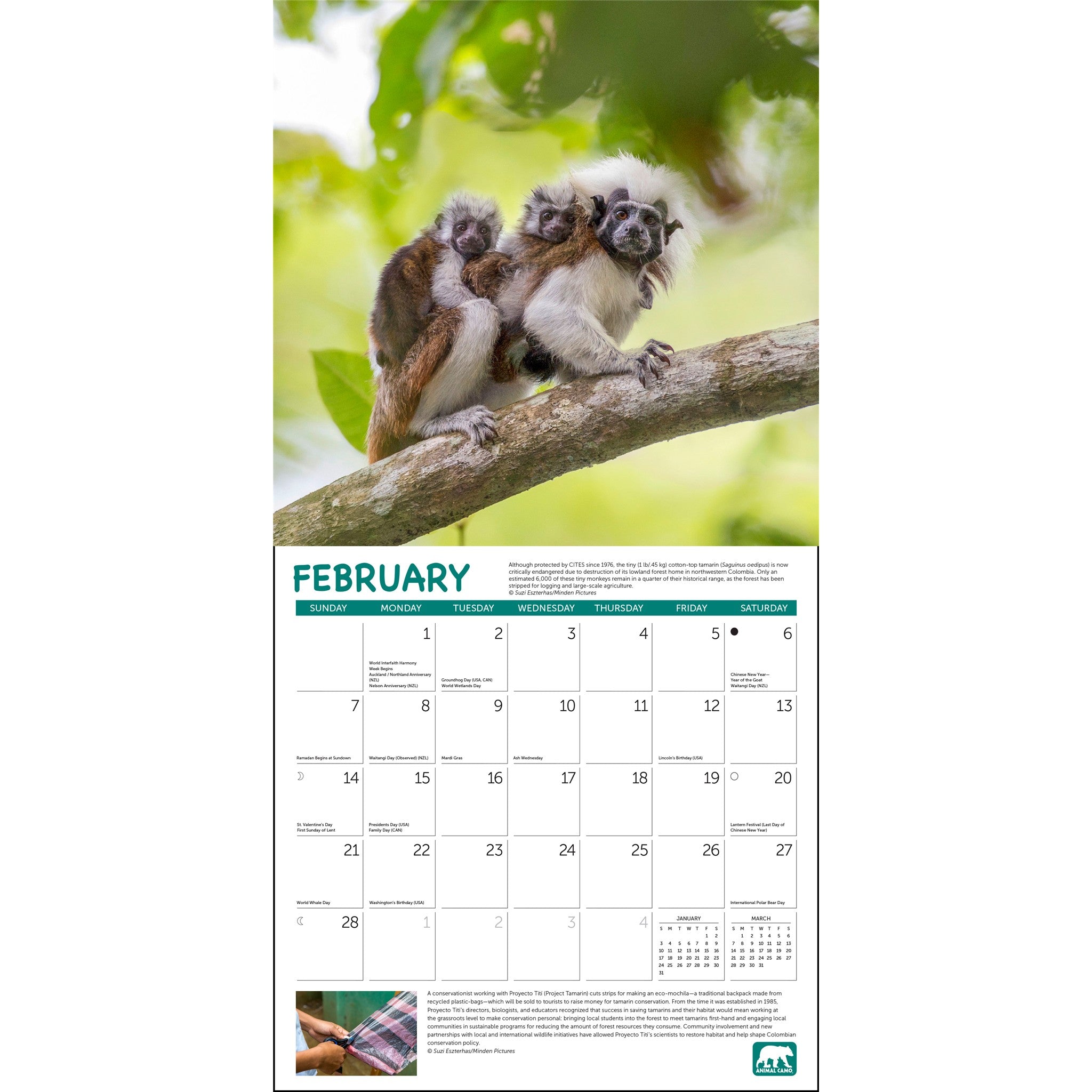 Project Green 2027 Wall Calendar