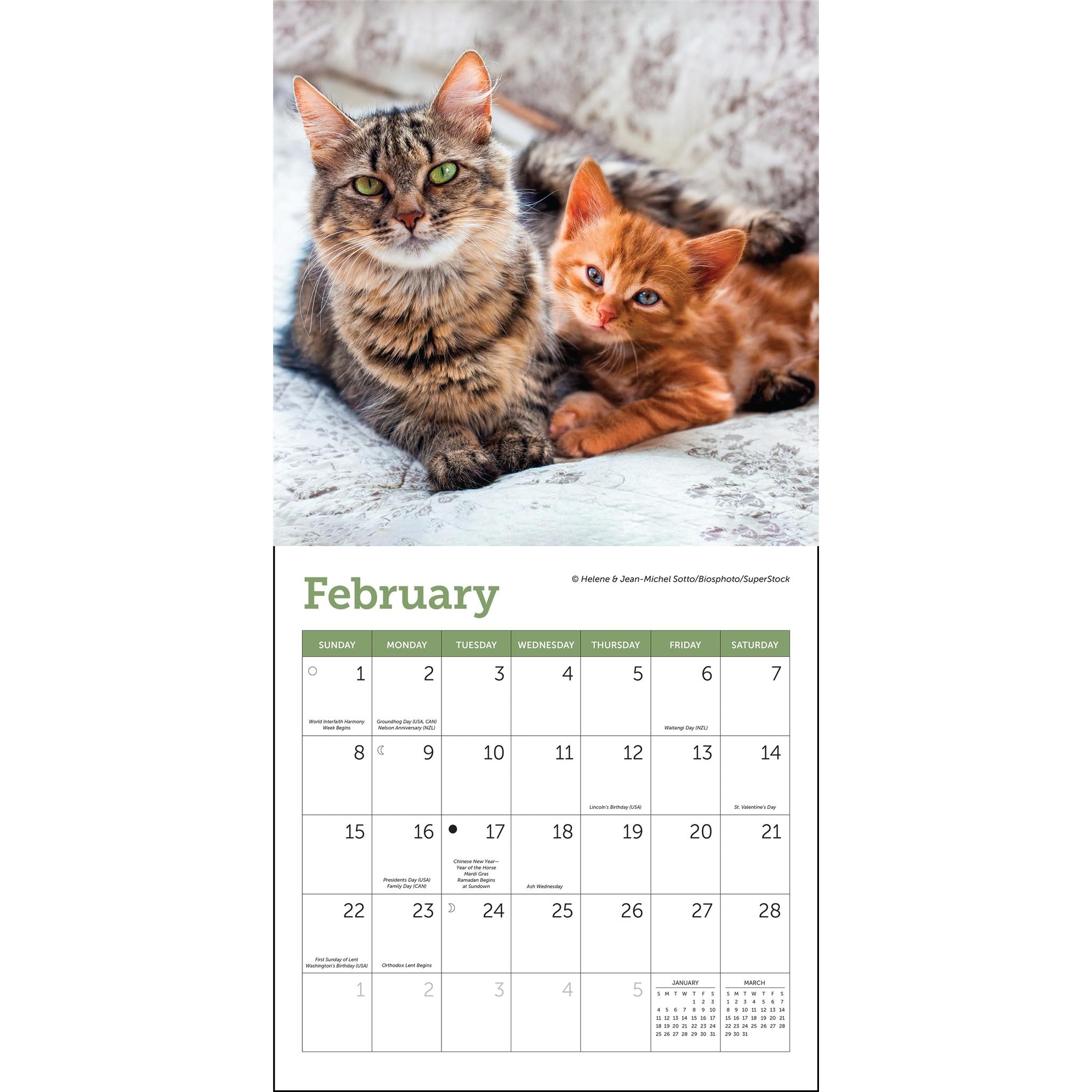 Cats 2026 Mini Calendar