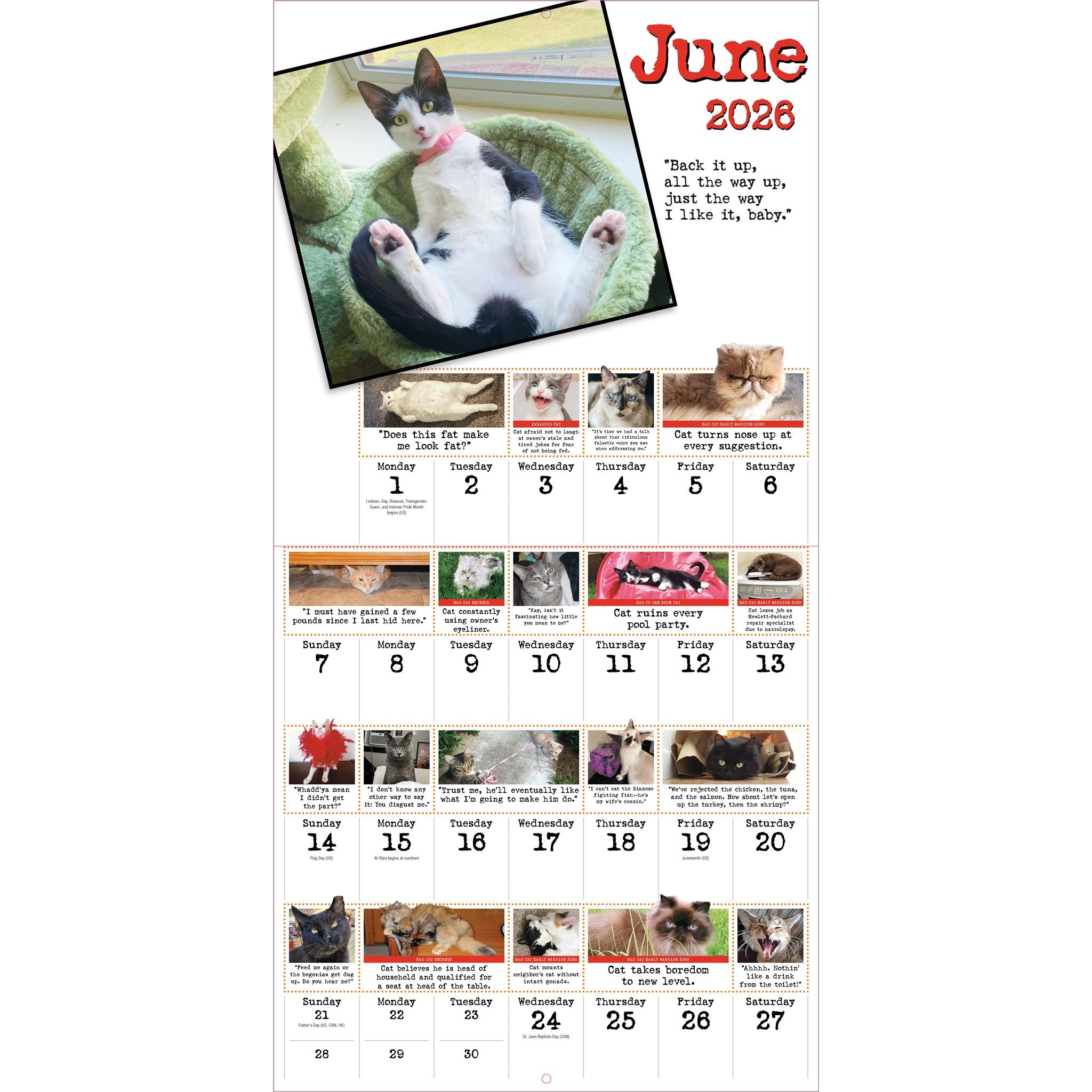 Bad Cat 2026 Wall Calendar - Online Only