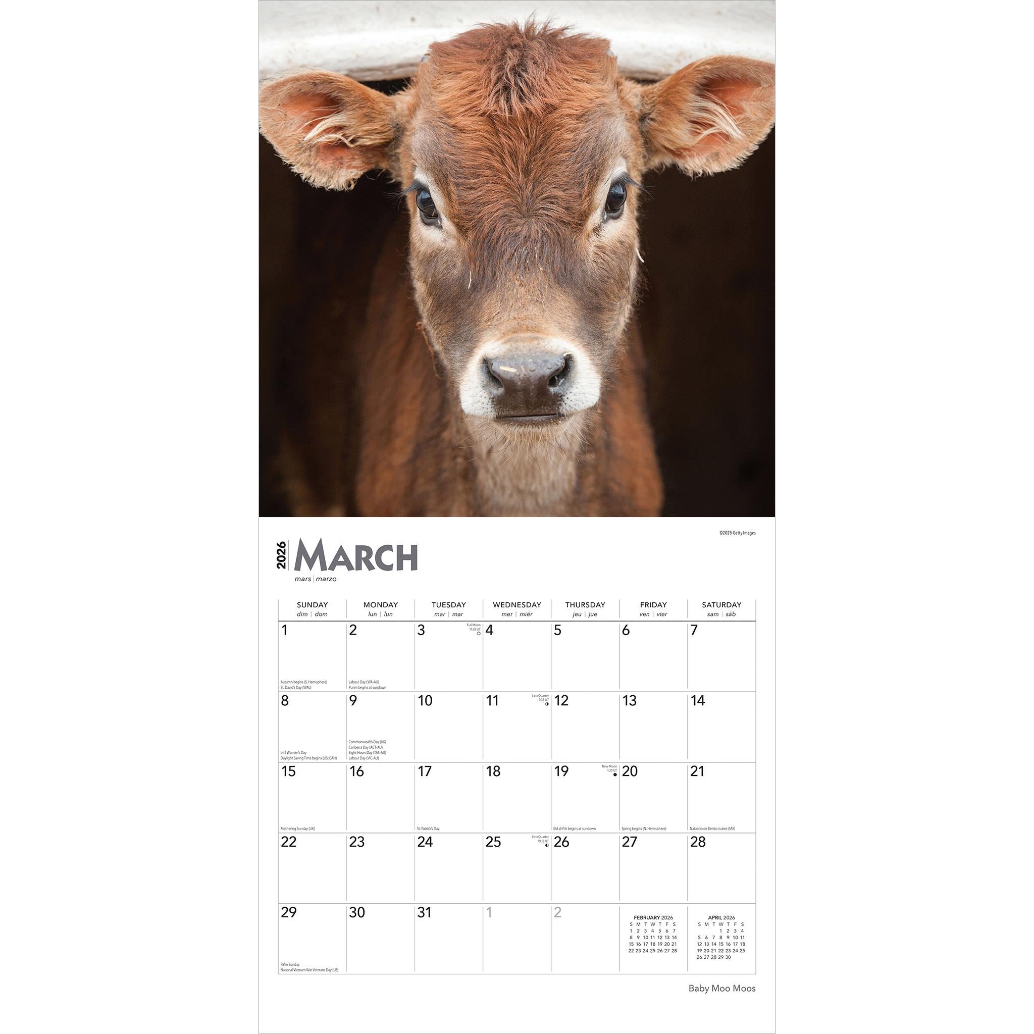 Calendrier mural Baby Moo Moos 2026 - Disponible uniquement en ligne