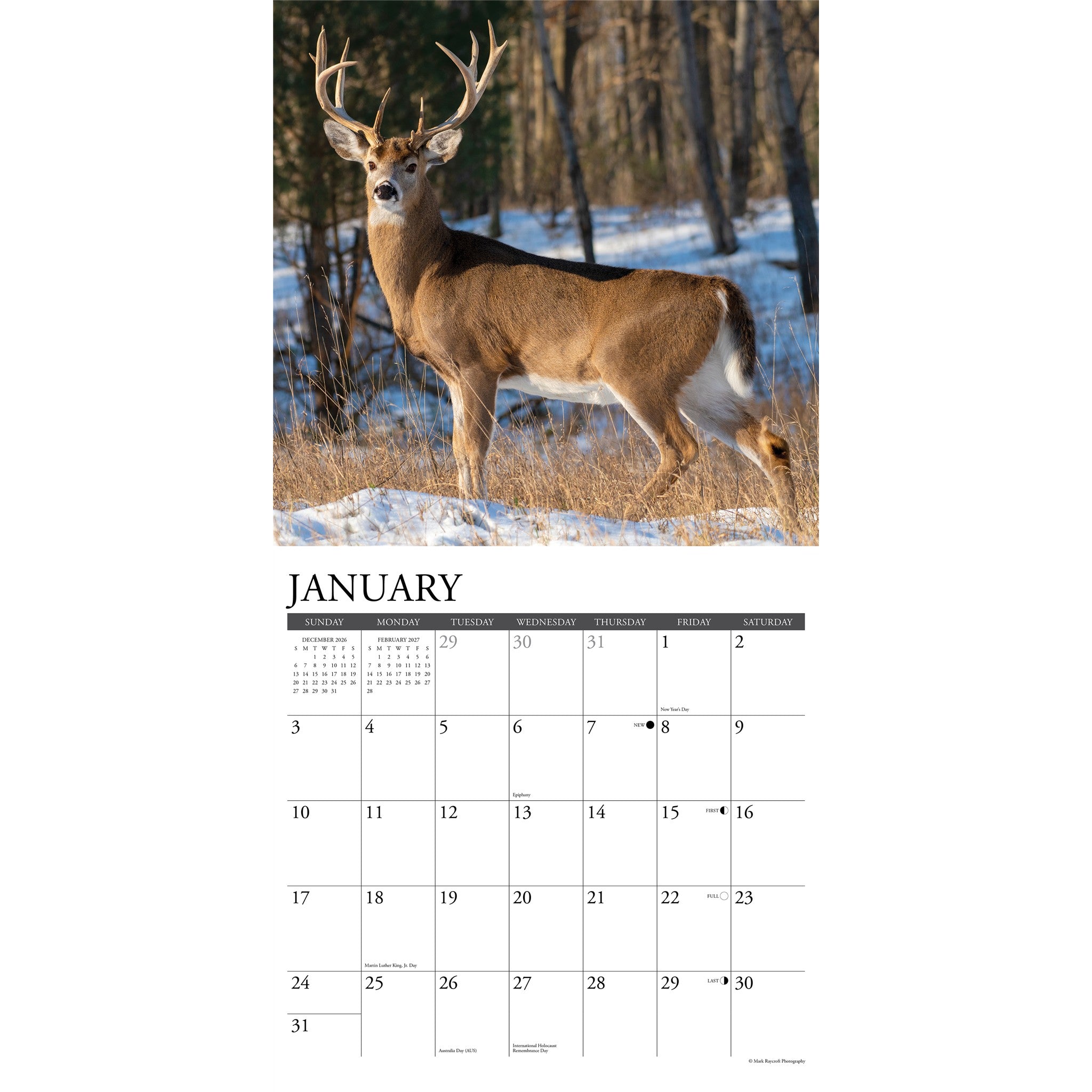 Whitetail Monarchs 2027 Wall Calendar
