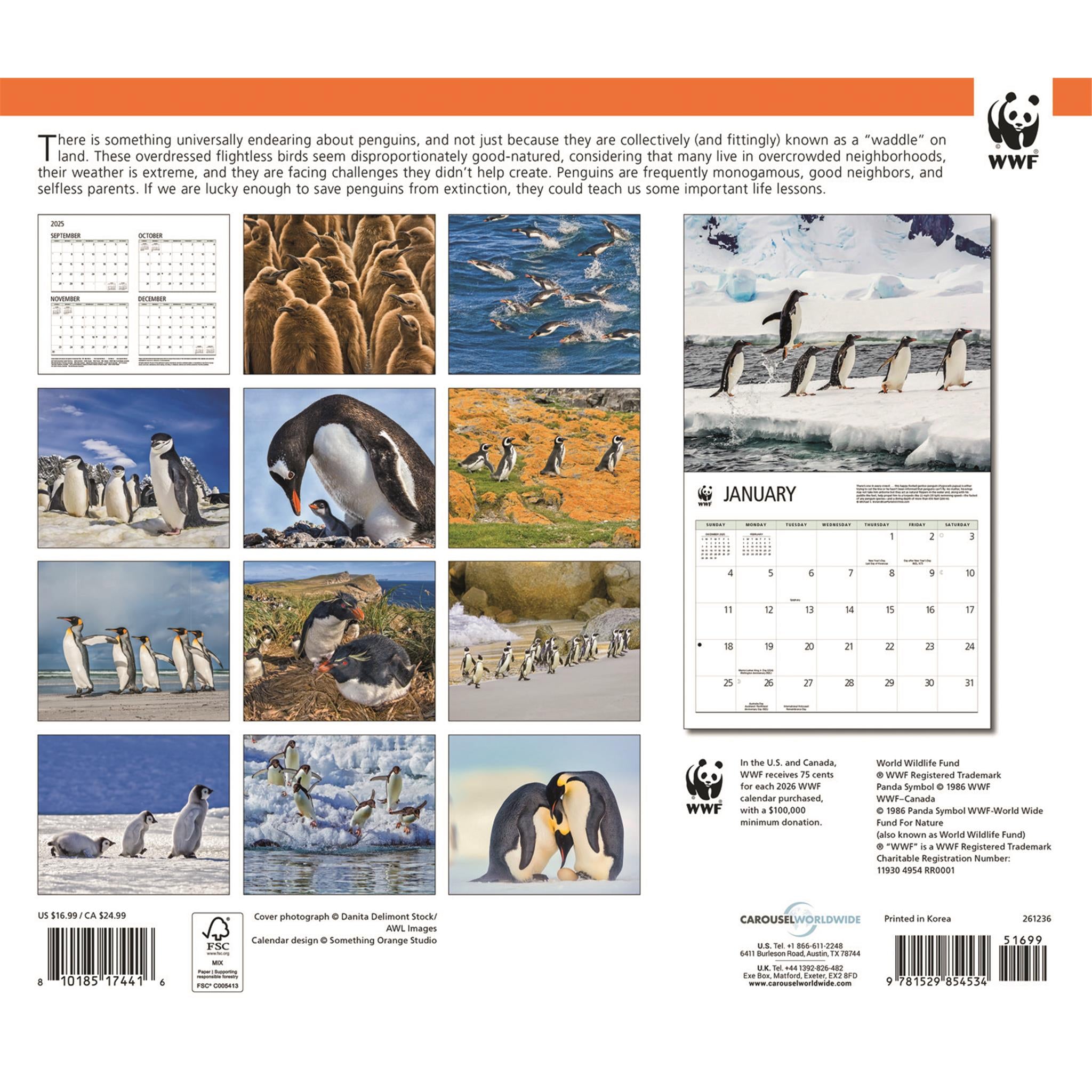 Calendrier mural 2026 des pingouins du Fonds mondial pour la nature