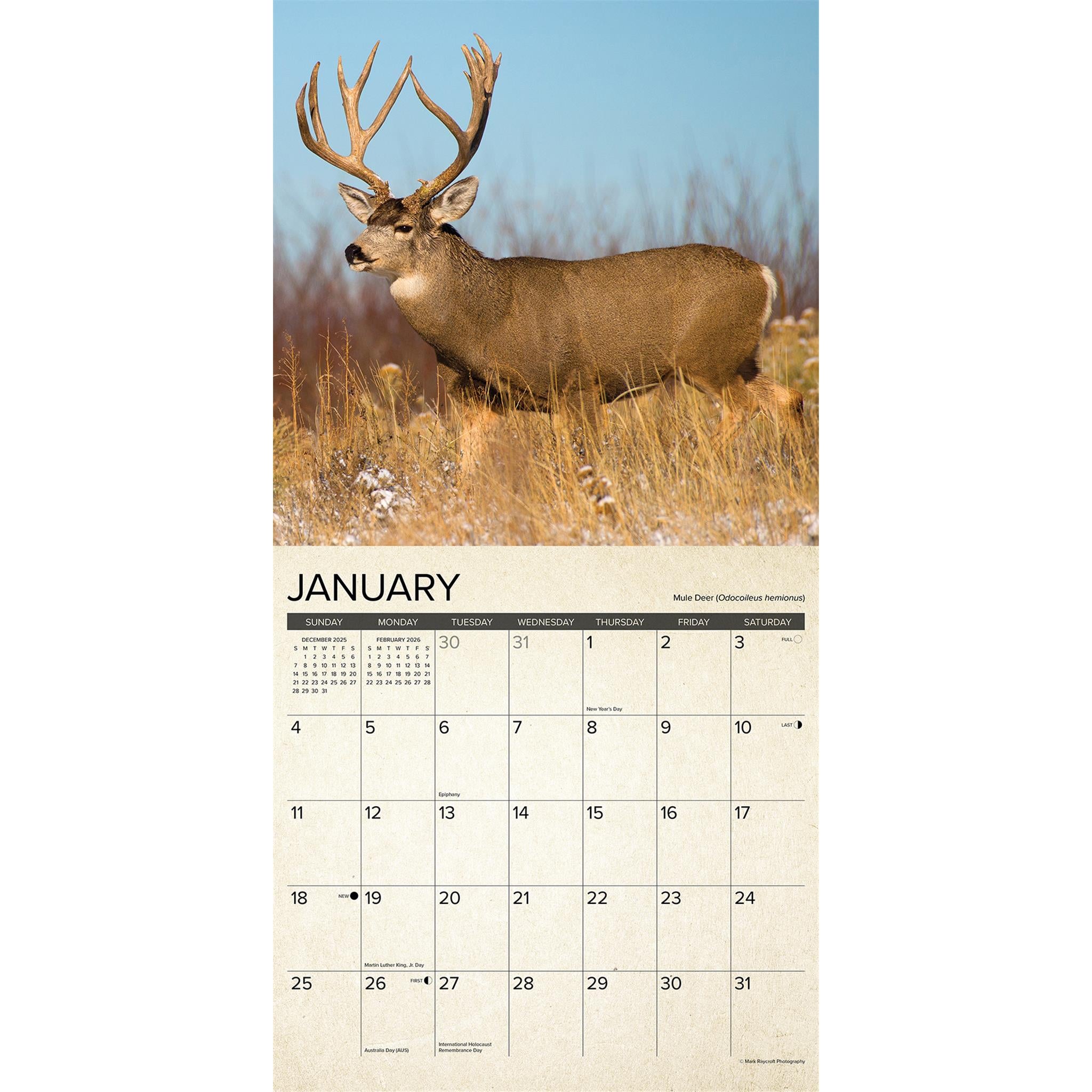 Calendrier mural canadien de la pêche et du gibier 2026