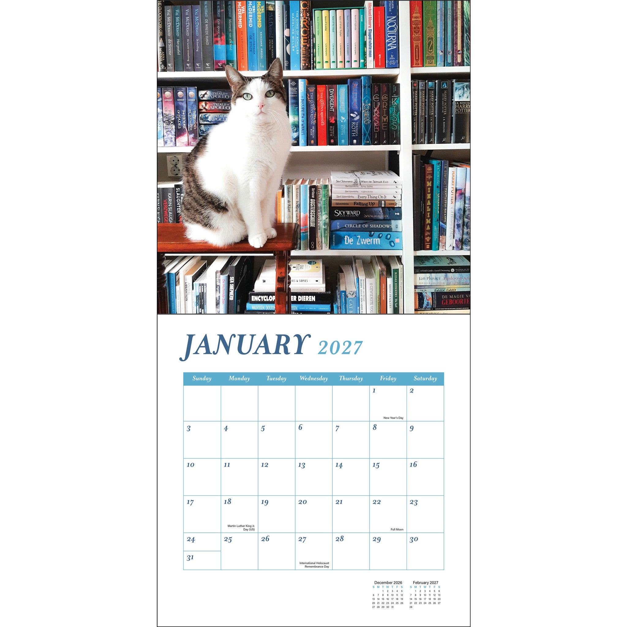 Cats and Books 2027 Wall Calendar
