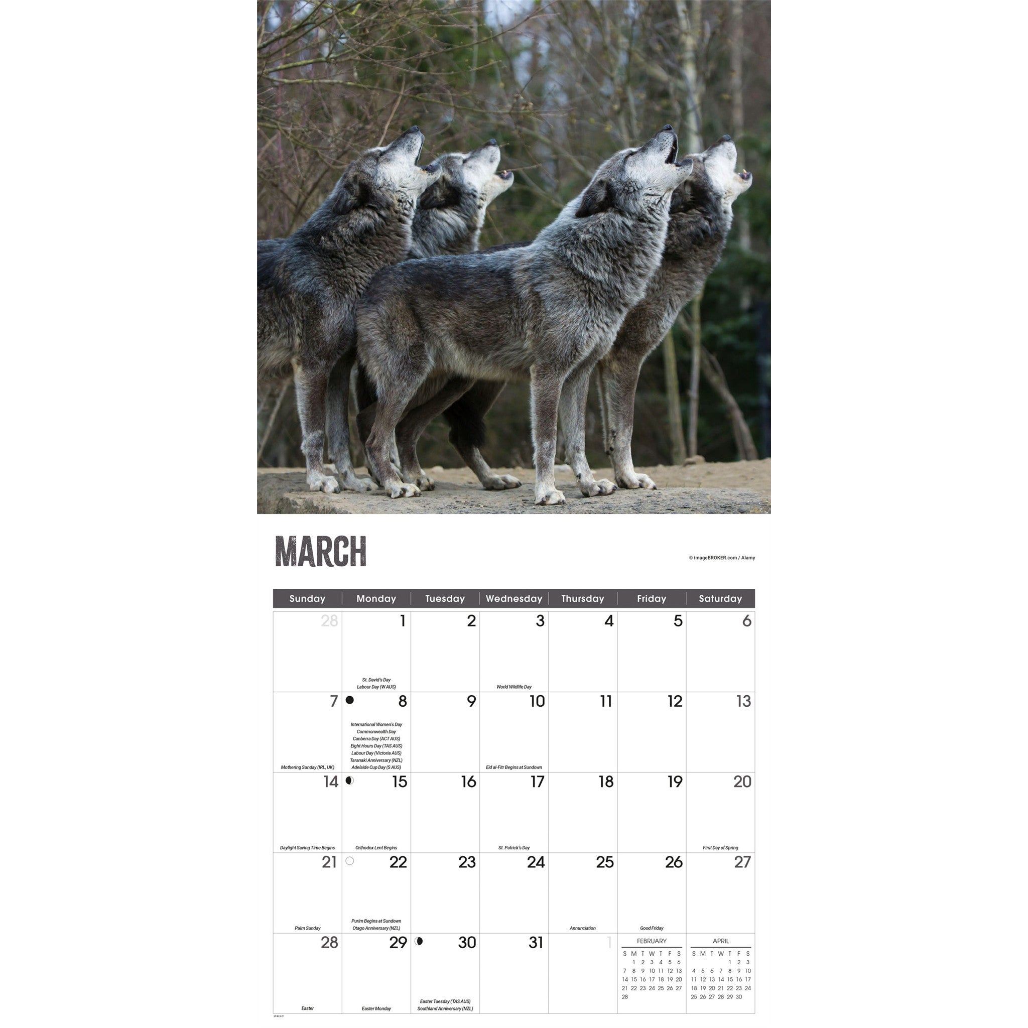 Calendrier mural Loups 2027