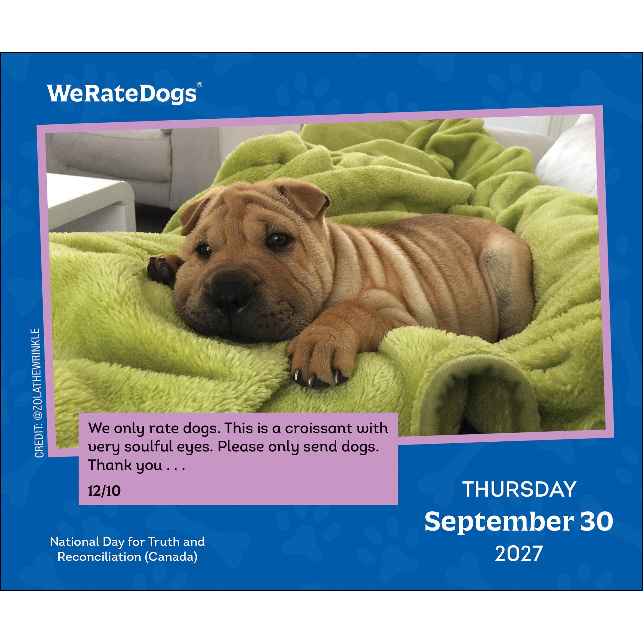 WeRateDogs 2027 Box Calendar