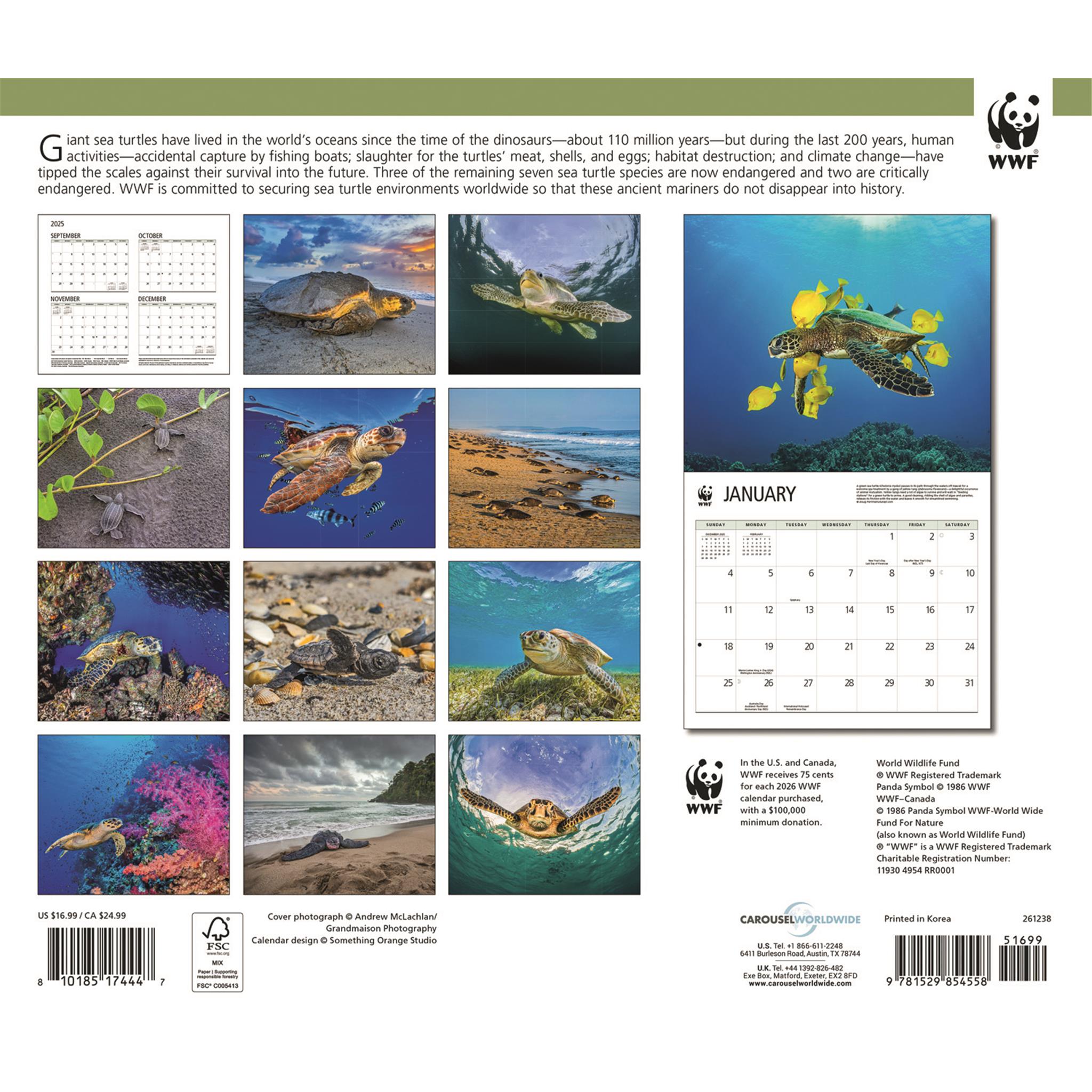 Calendrier mural 2026 du Fonds mondial pour la nature (WWF) sur les tortues marines