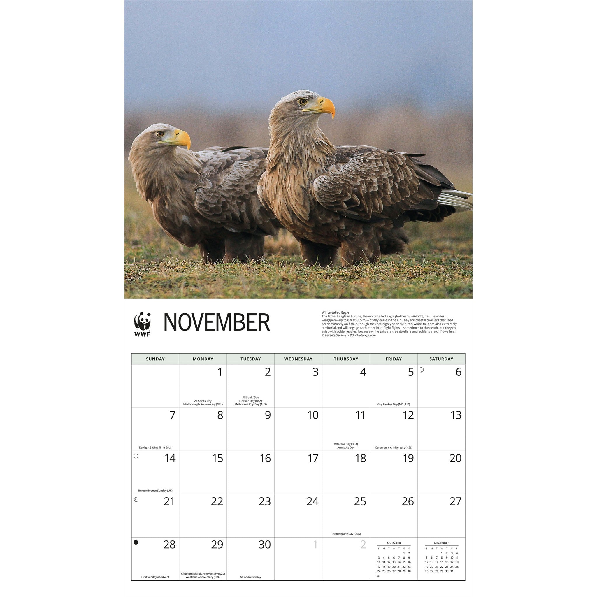 Calendrier mural 2027 Aigles - WWF