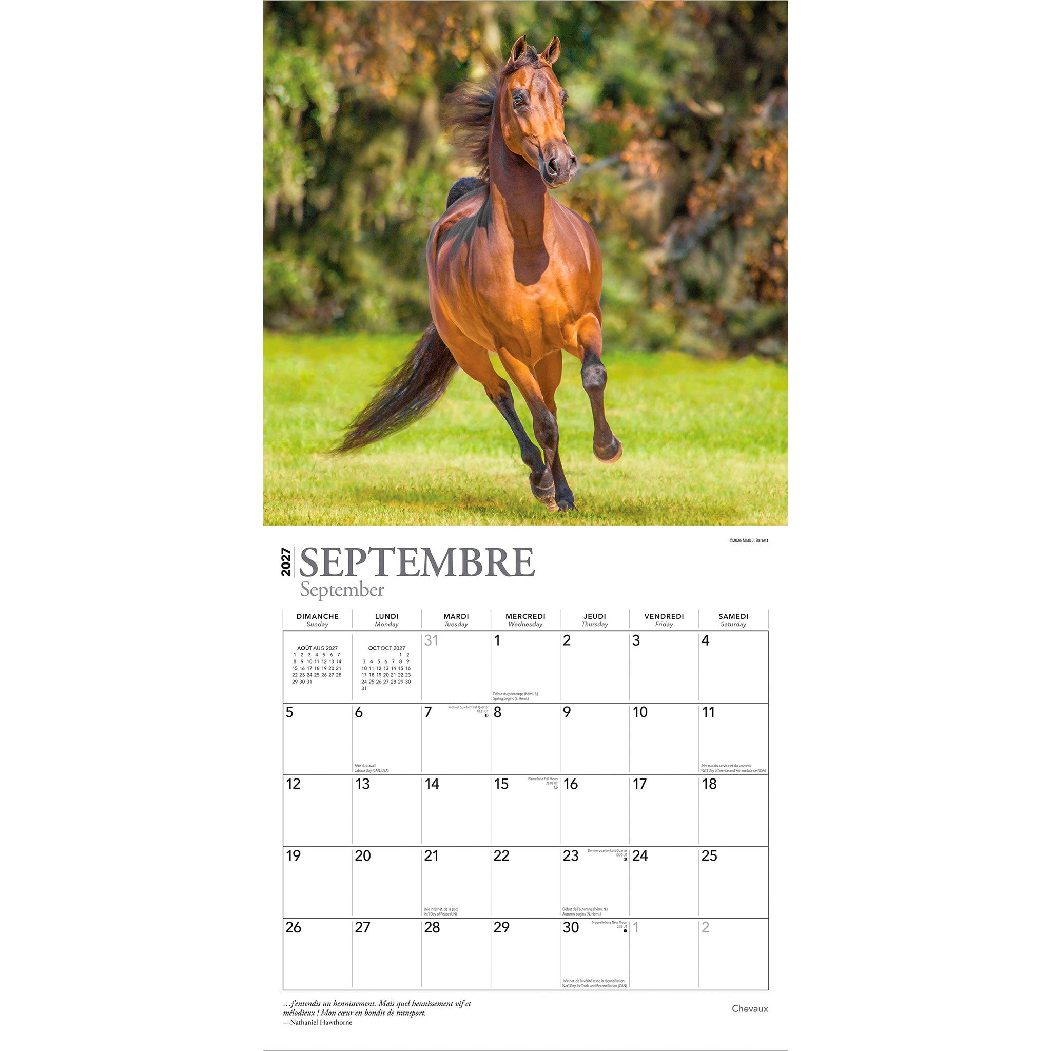 Chevaux 2027 Wall Calendar (French)