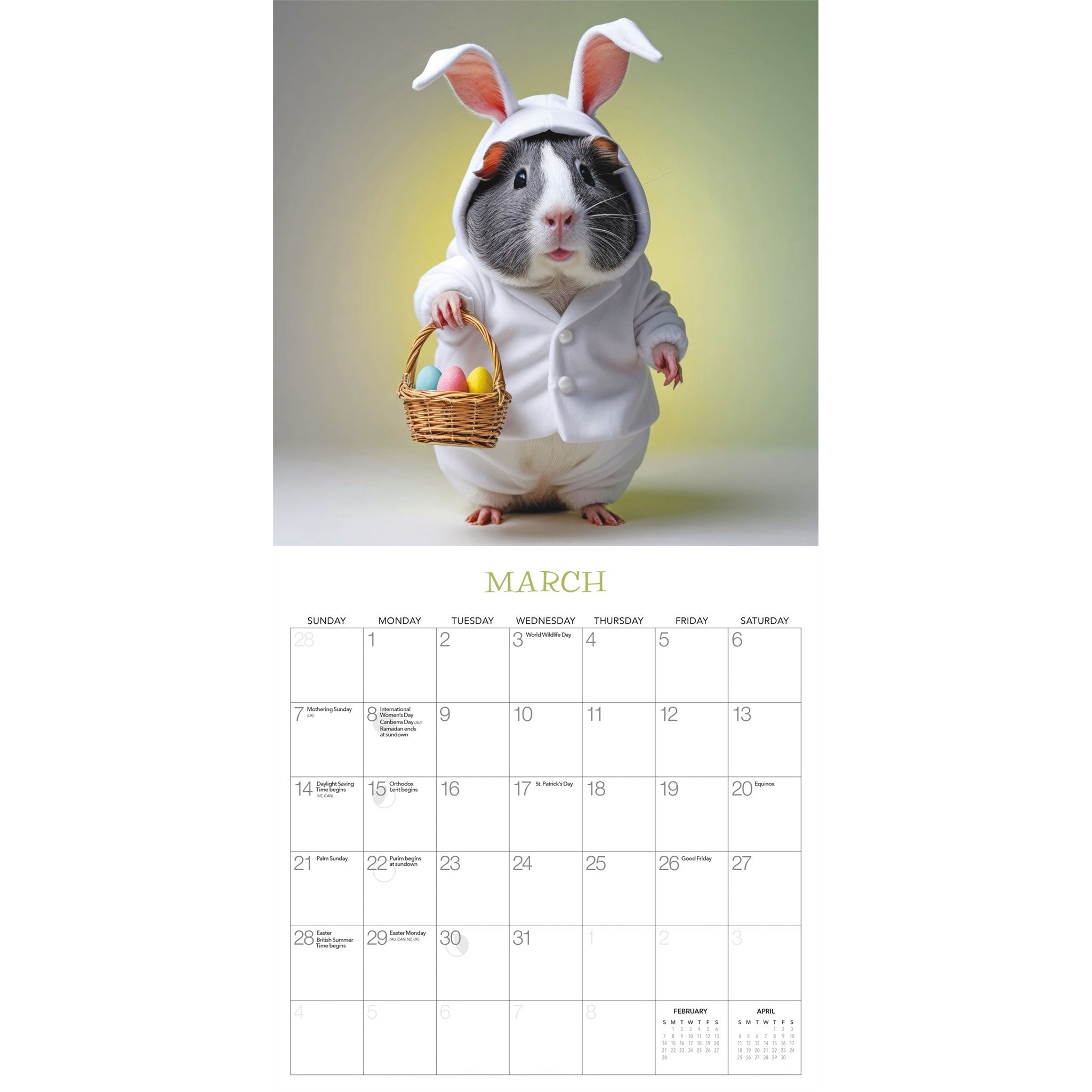 Les Cochons d'Inde, C'est Super ! Calendrier mural 2027