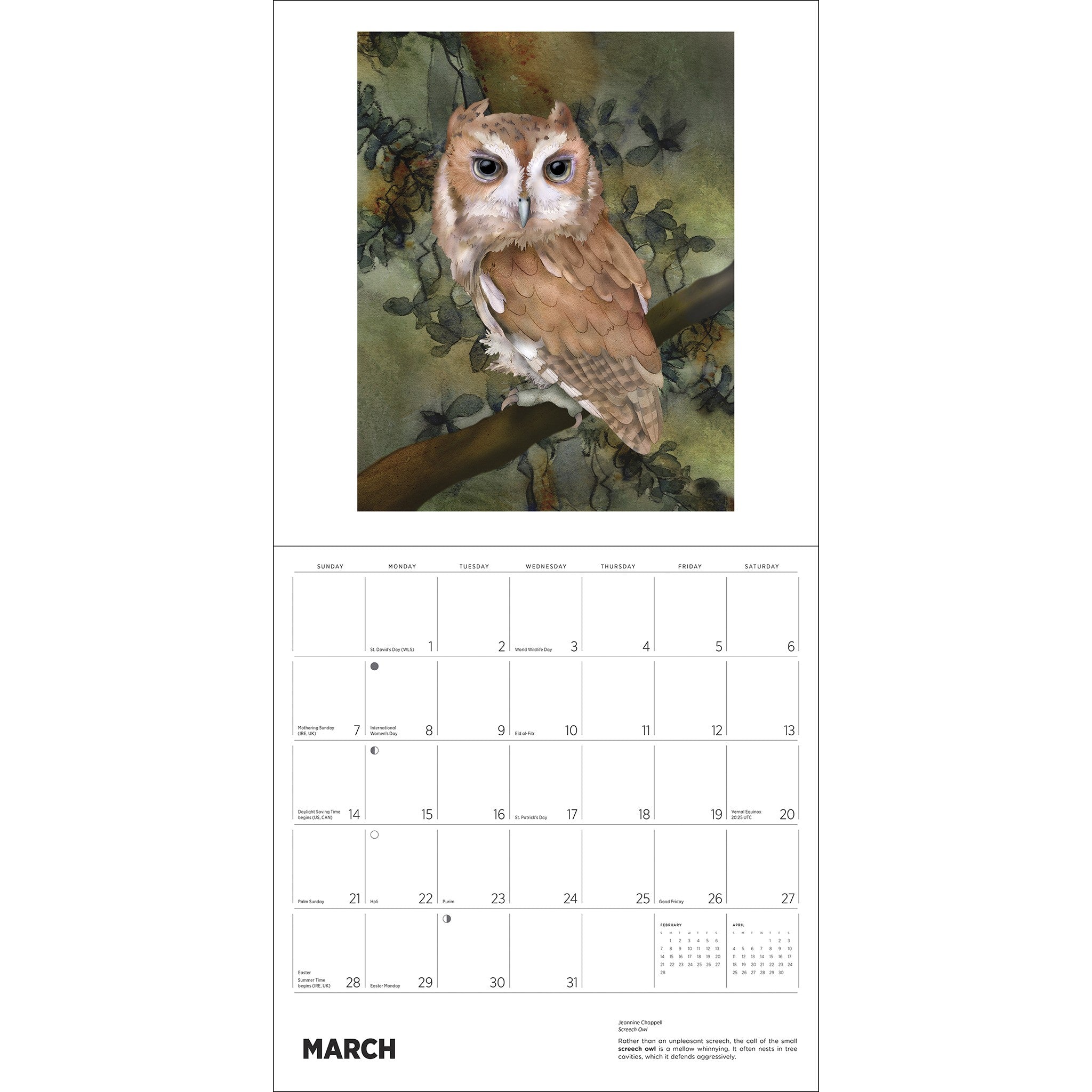 Owls Jeannine Chappell 2027 Wall Calendar