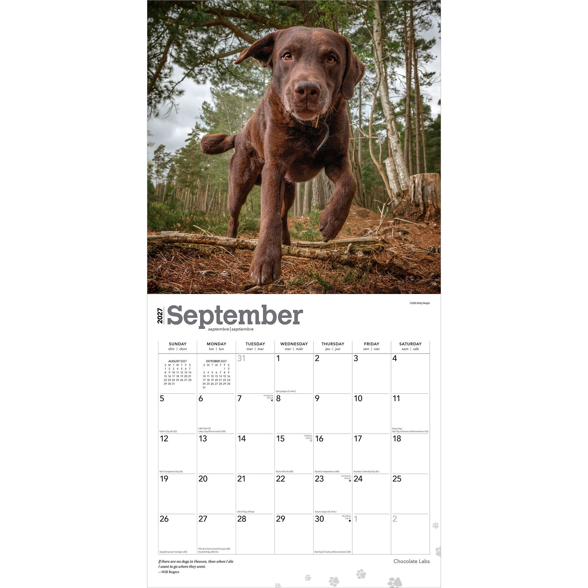 Chocolate Labs 2027 Wall Calendar