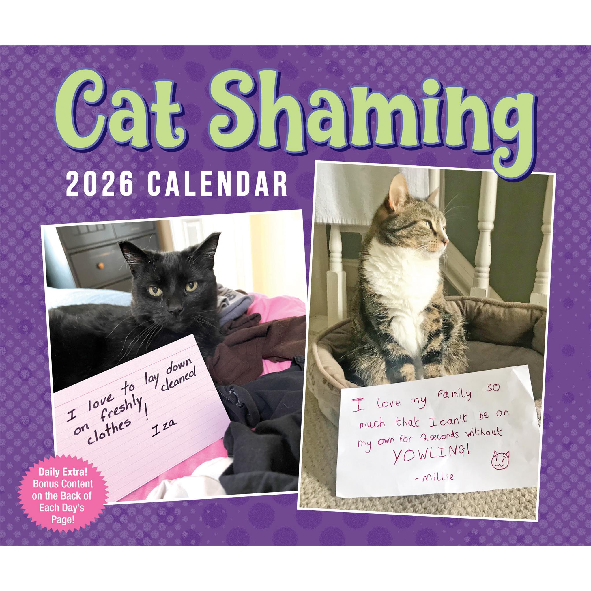 Calendrier de la boîte Cat Shaming 2026