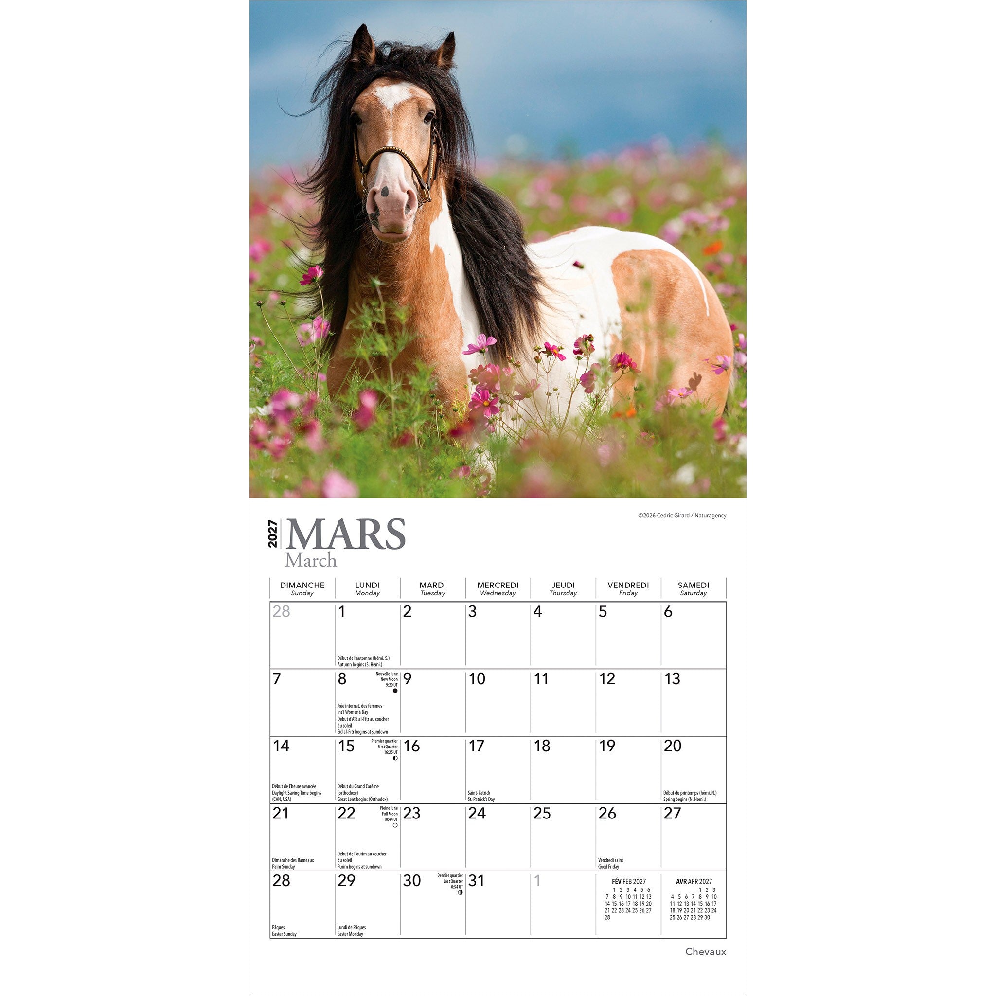 Chevaux 2027 Mini Calendar (French)