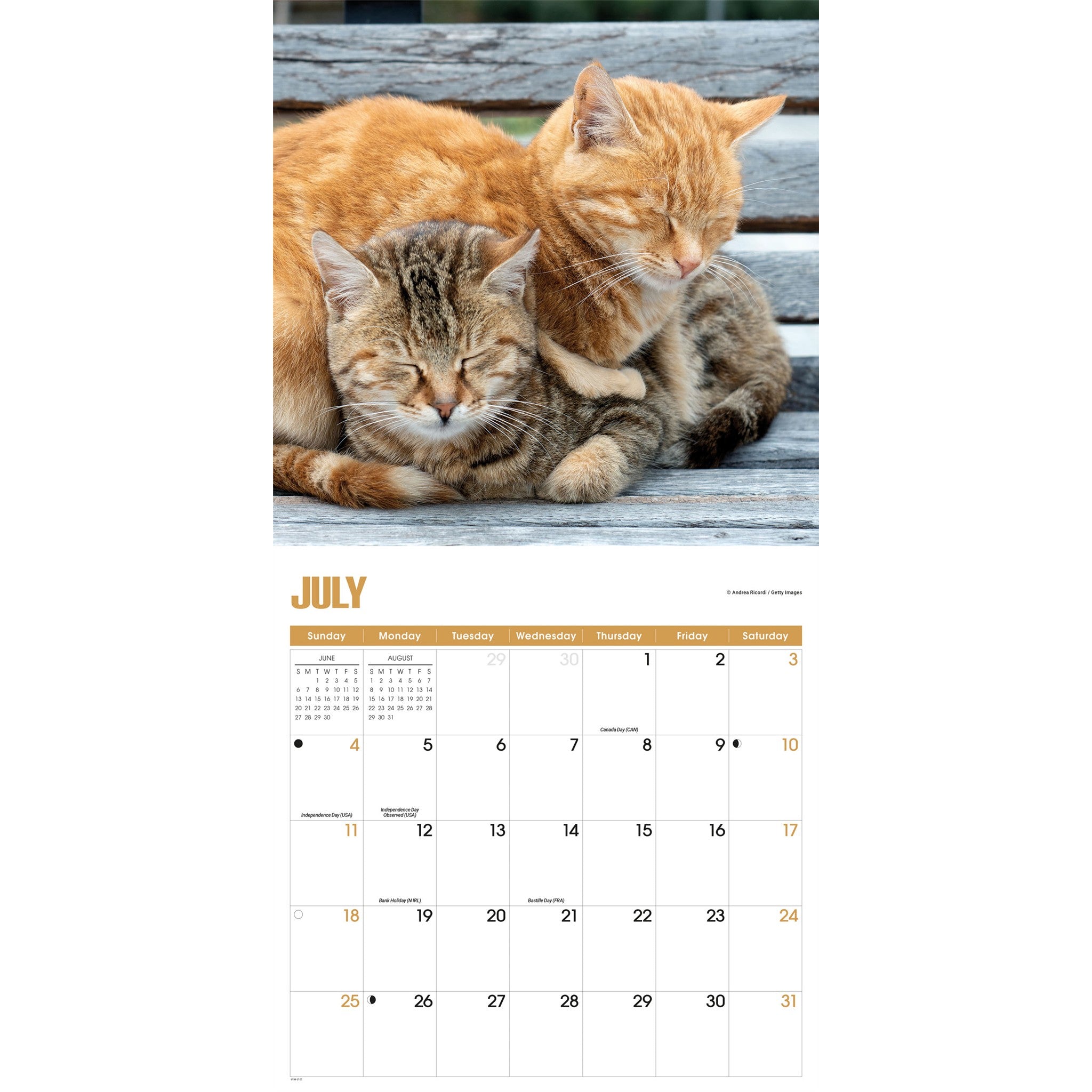 Calendrier mural 2027 : Siestes de chatons