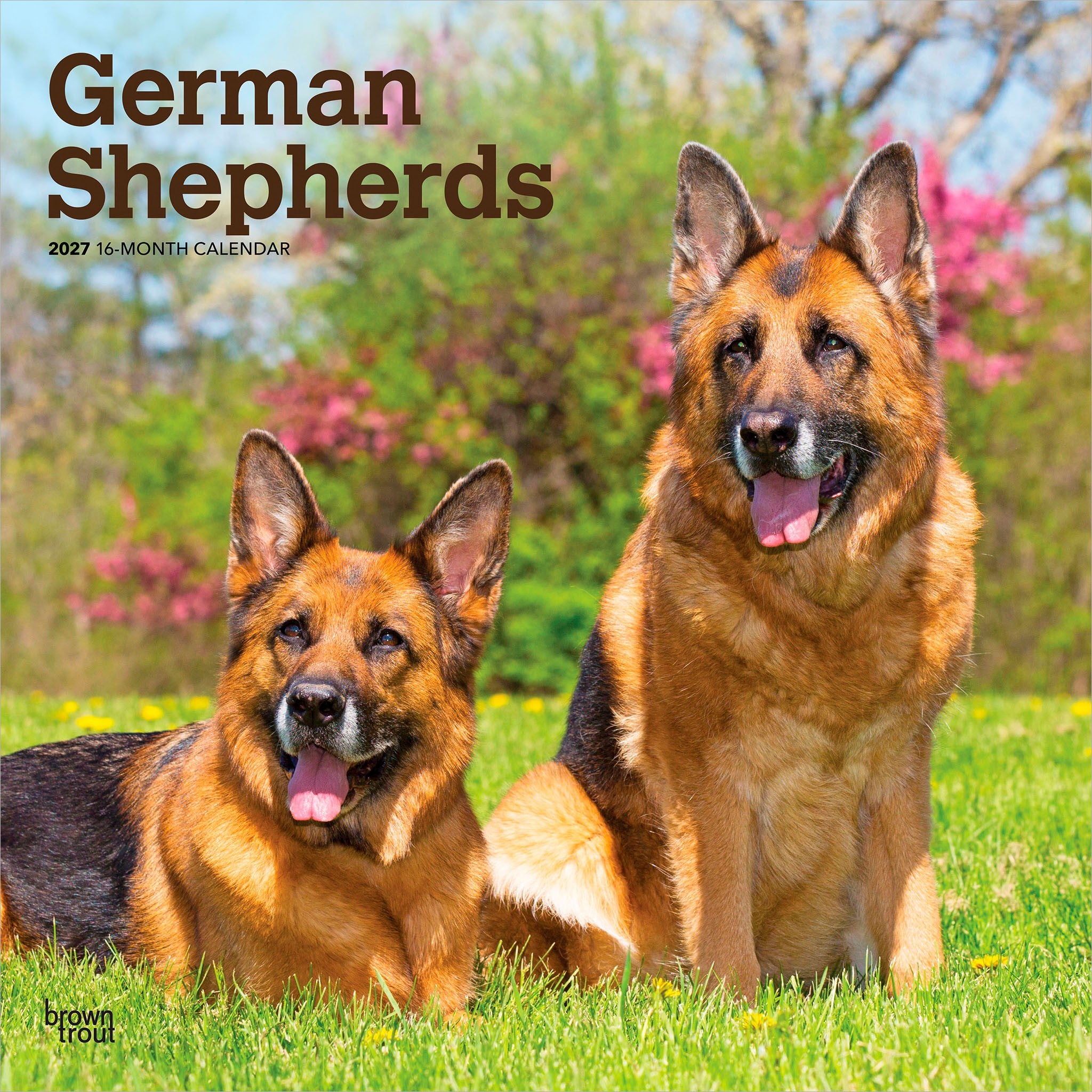 German Shepherds 2027 Wall Calendar - Online Only