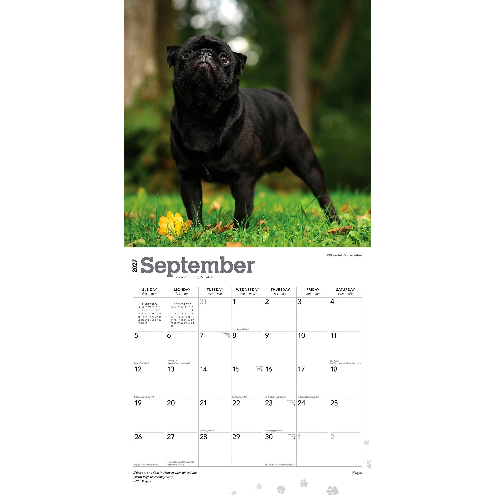 Pugs 2027 Wall Calendar