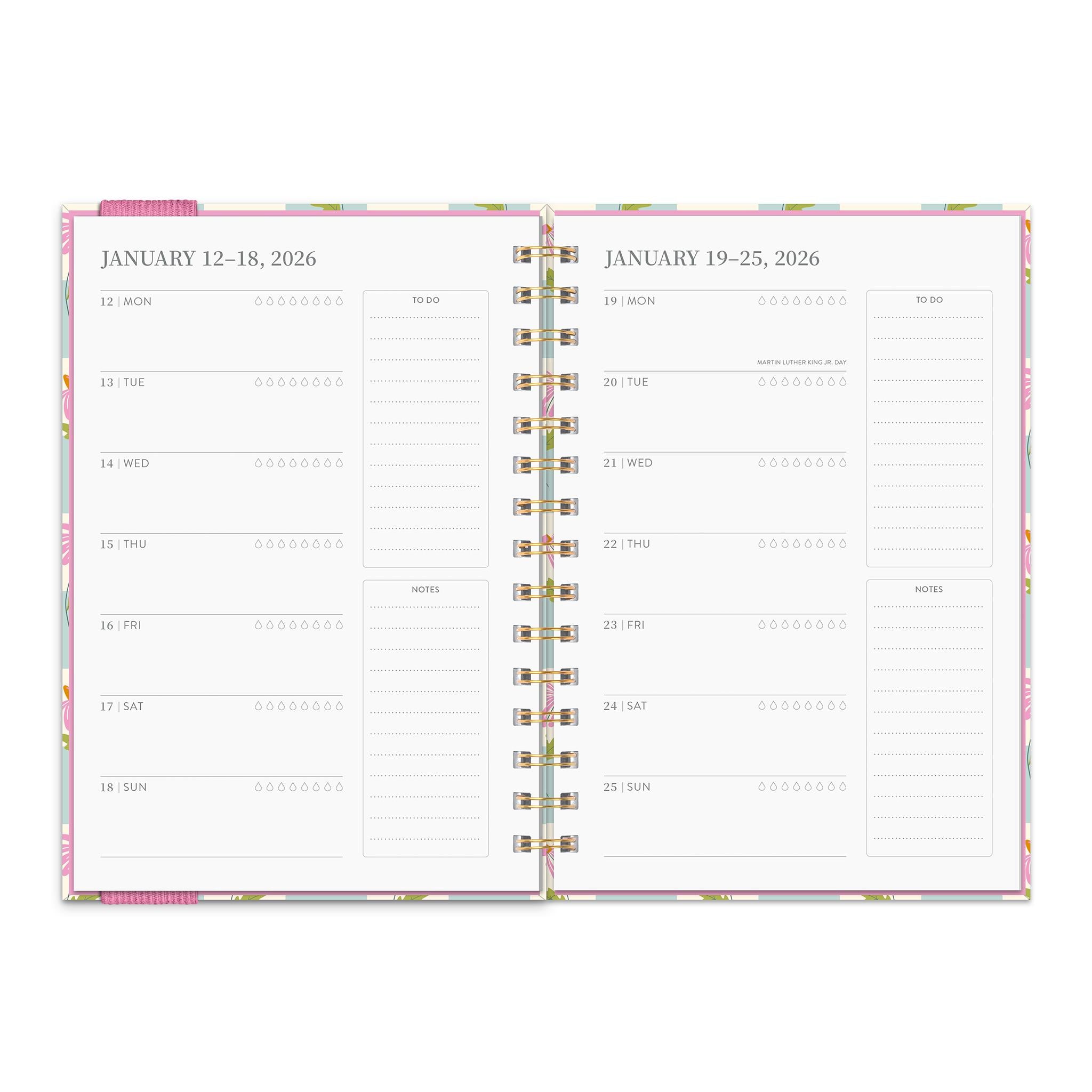 Calendrier des fiançailles Coneflower Corner Oliver 2025-2026