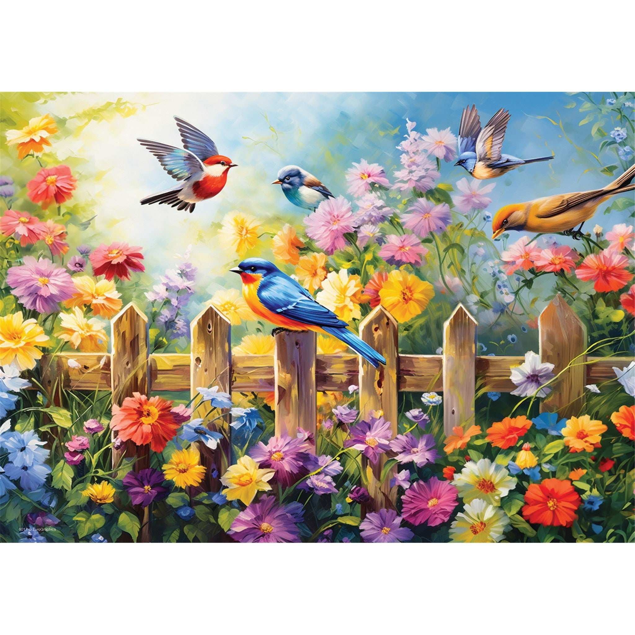 Puzzle de 24 pièces Oiseaux joueurs