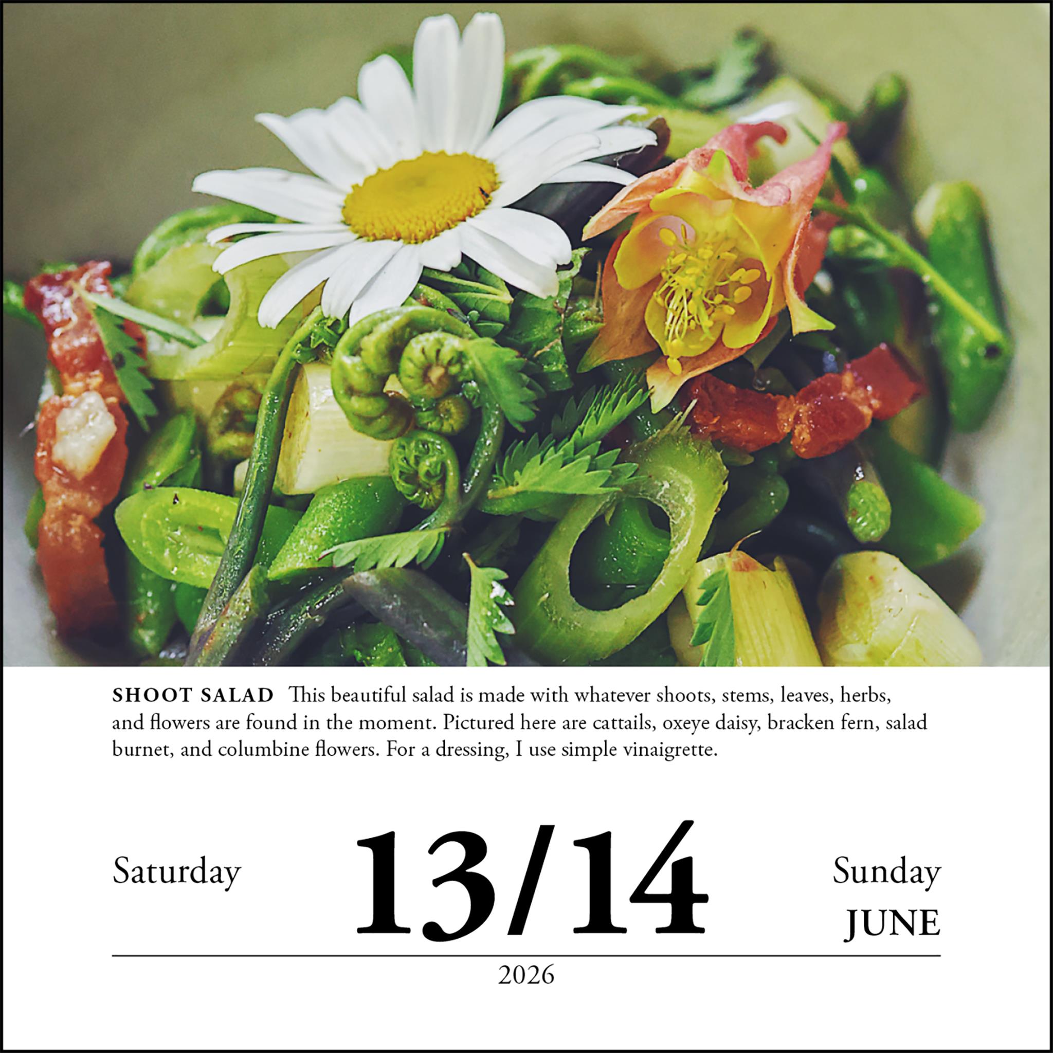 Calendrier Forager's Box 2026 - Disponible uniquement en ligne