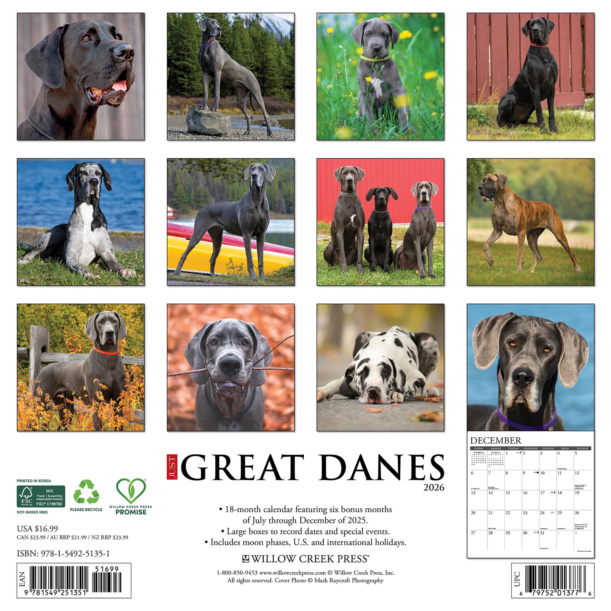 Calendrier mural Just Great Danes 2026