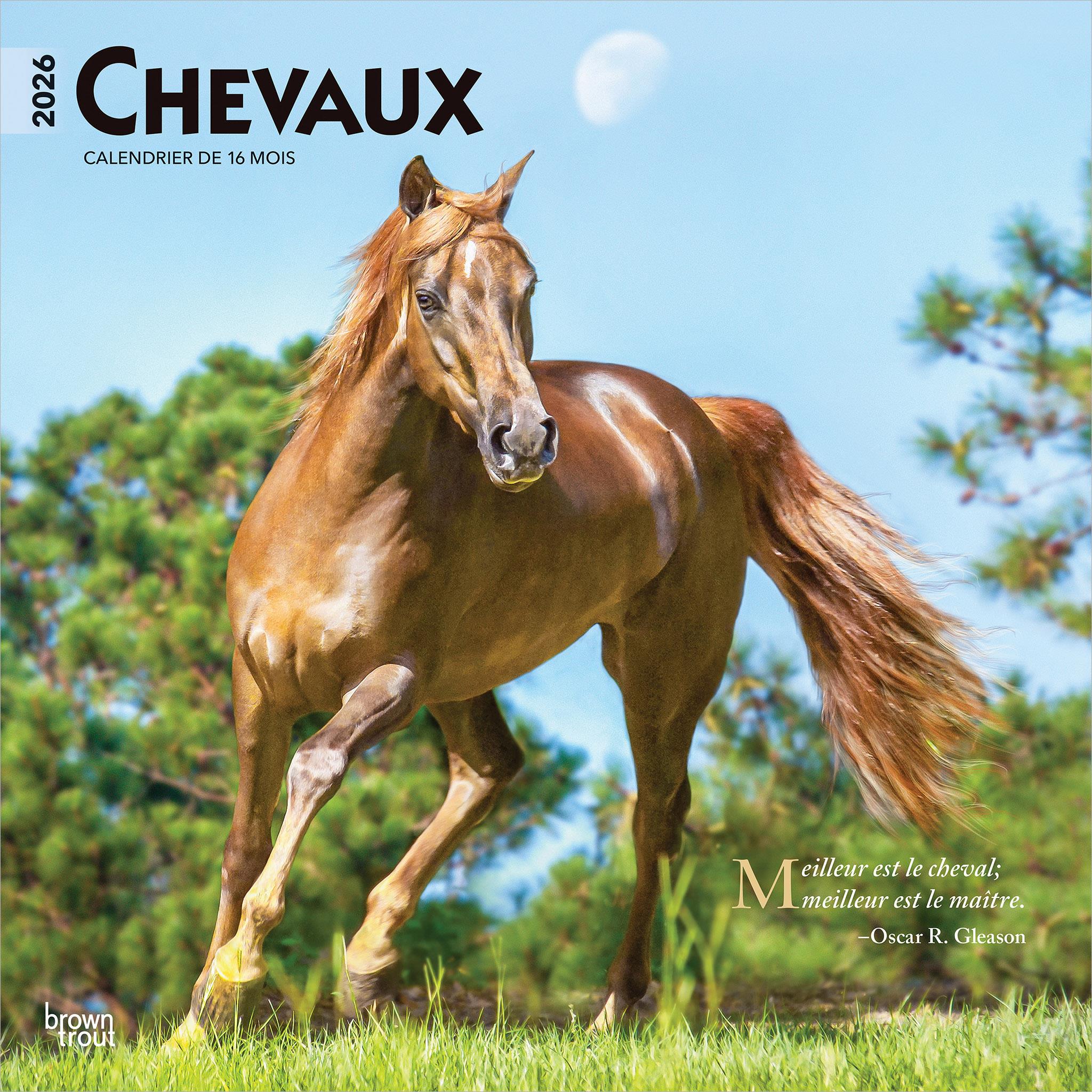 Calendrier mural Chevaux 2026 (français)