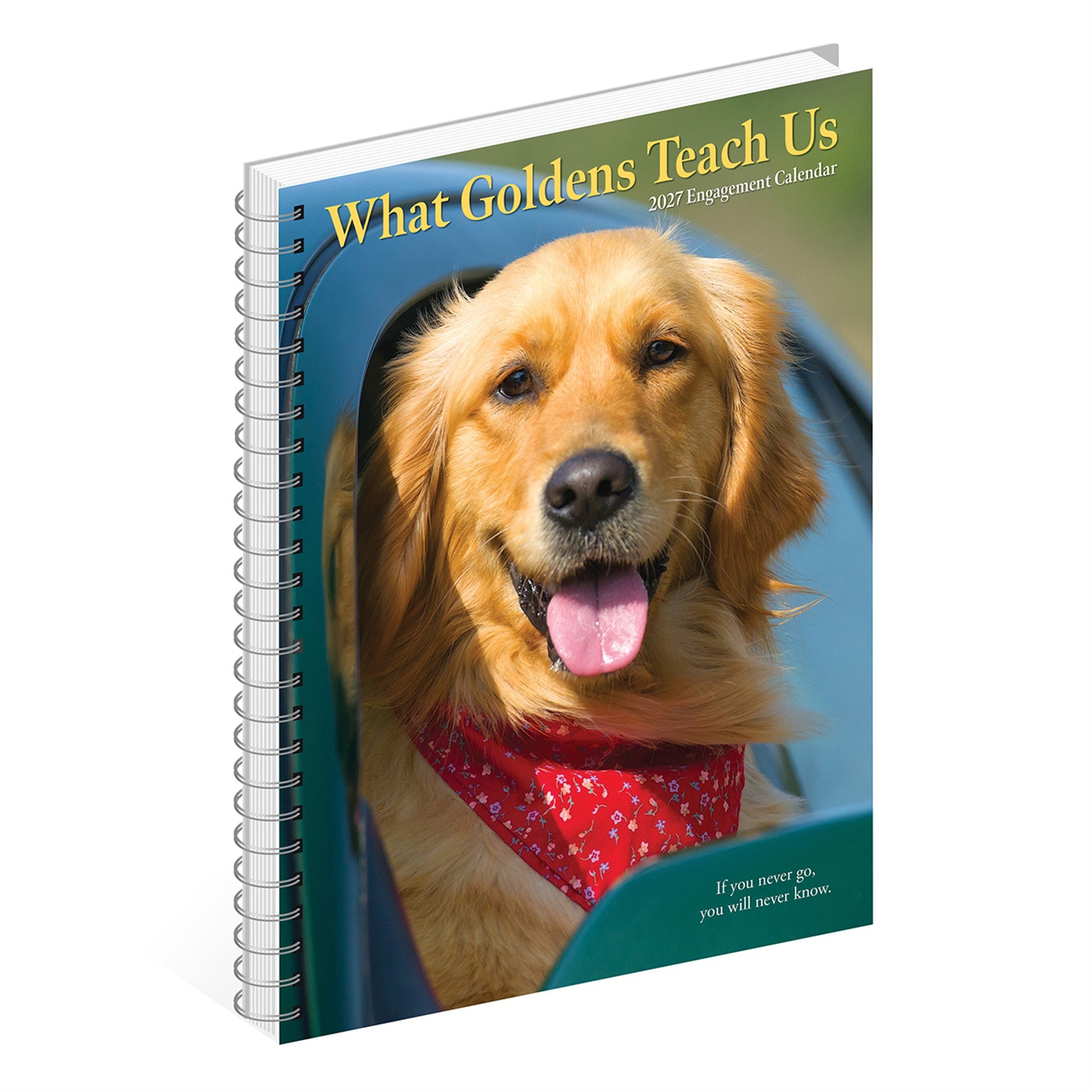 What Goldens Teach Us 2027 Engagement Calendar