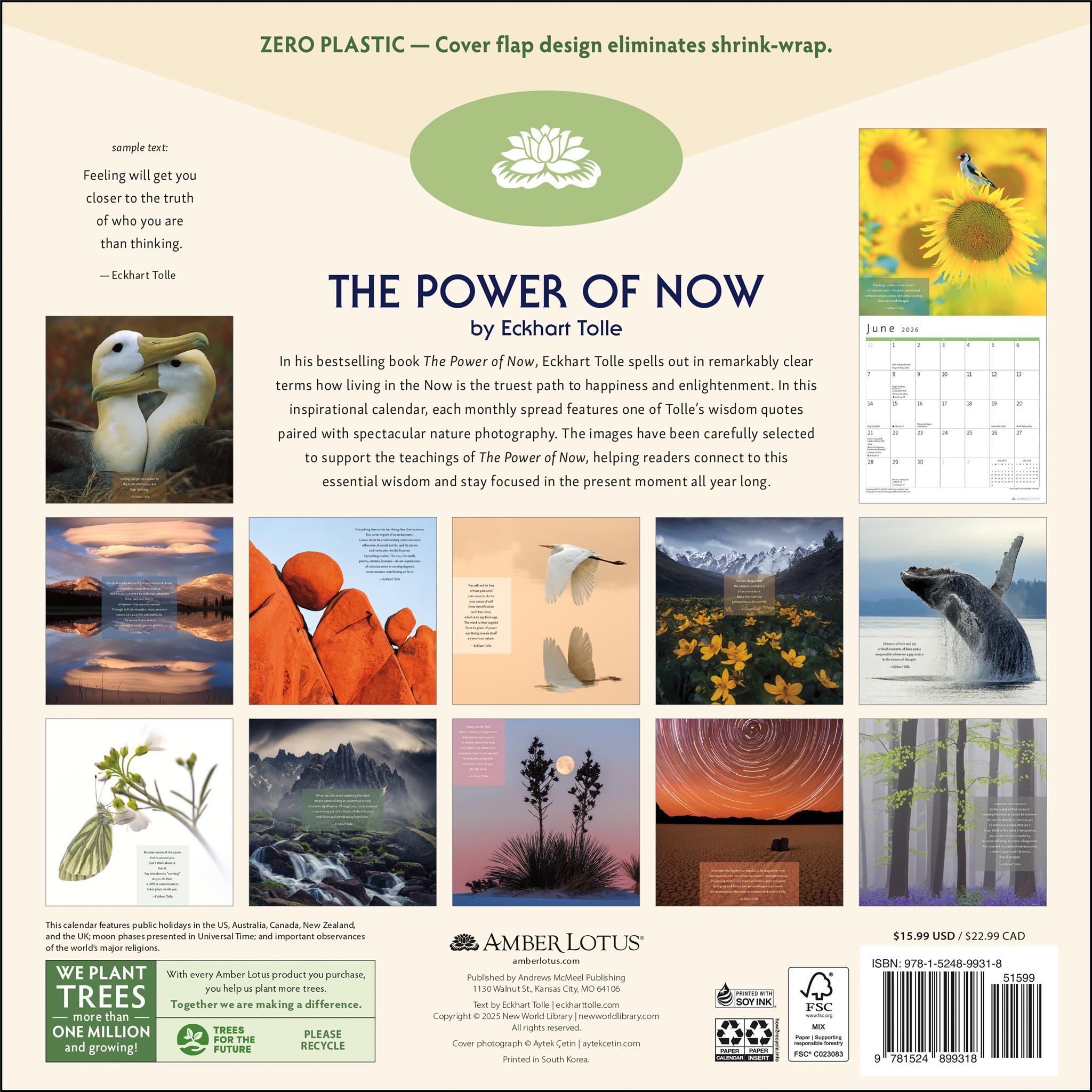 Power Of Now 2026 Wall Calendar - Online Only