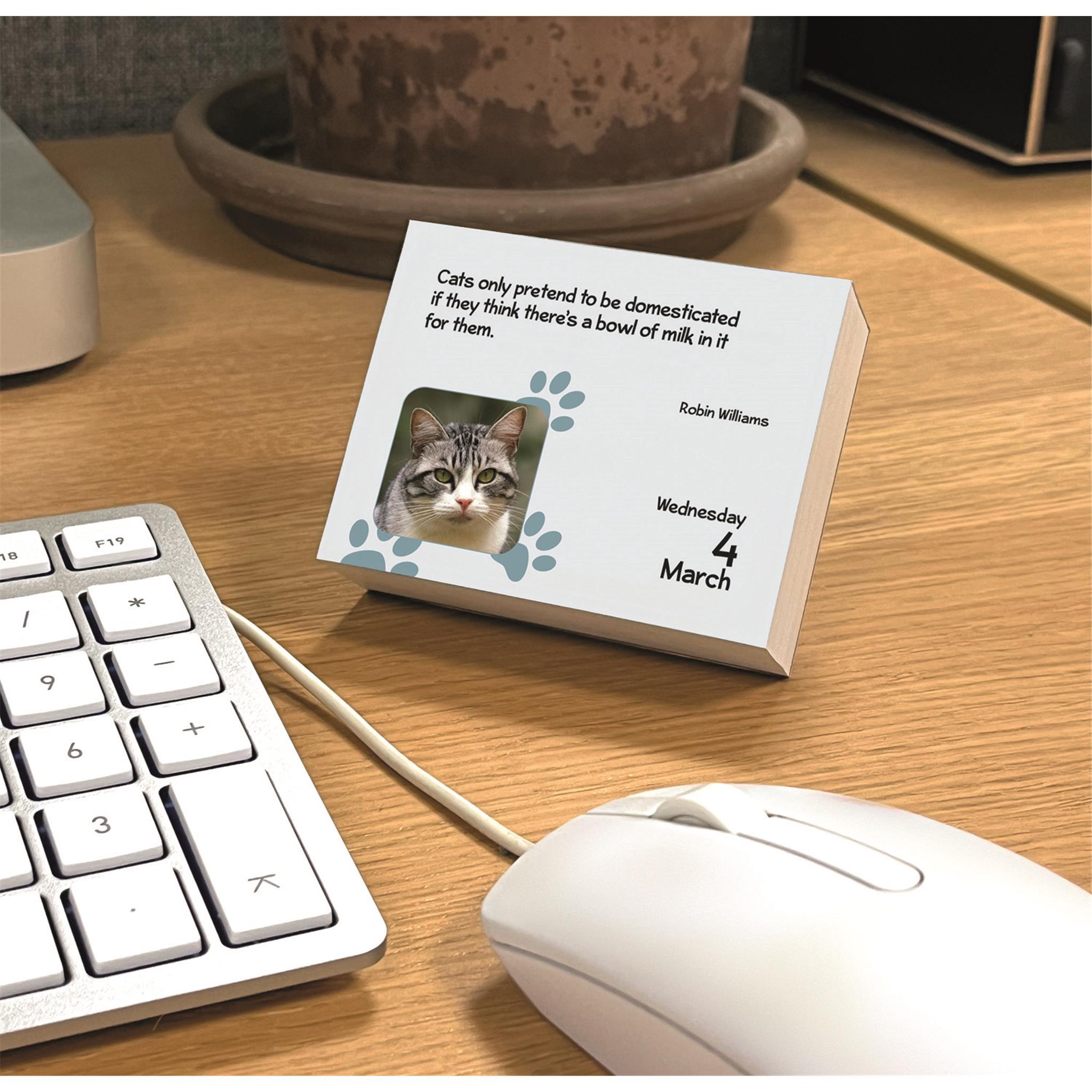 Calendrier Chats 2026 (Petit Format)