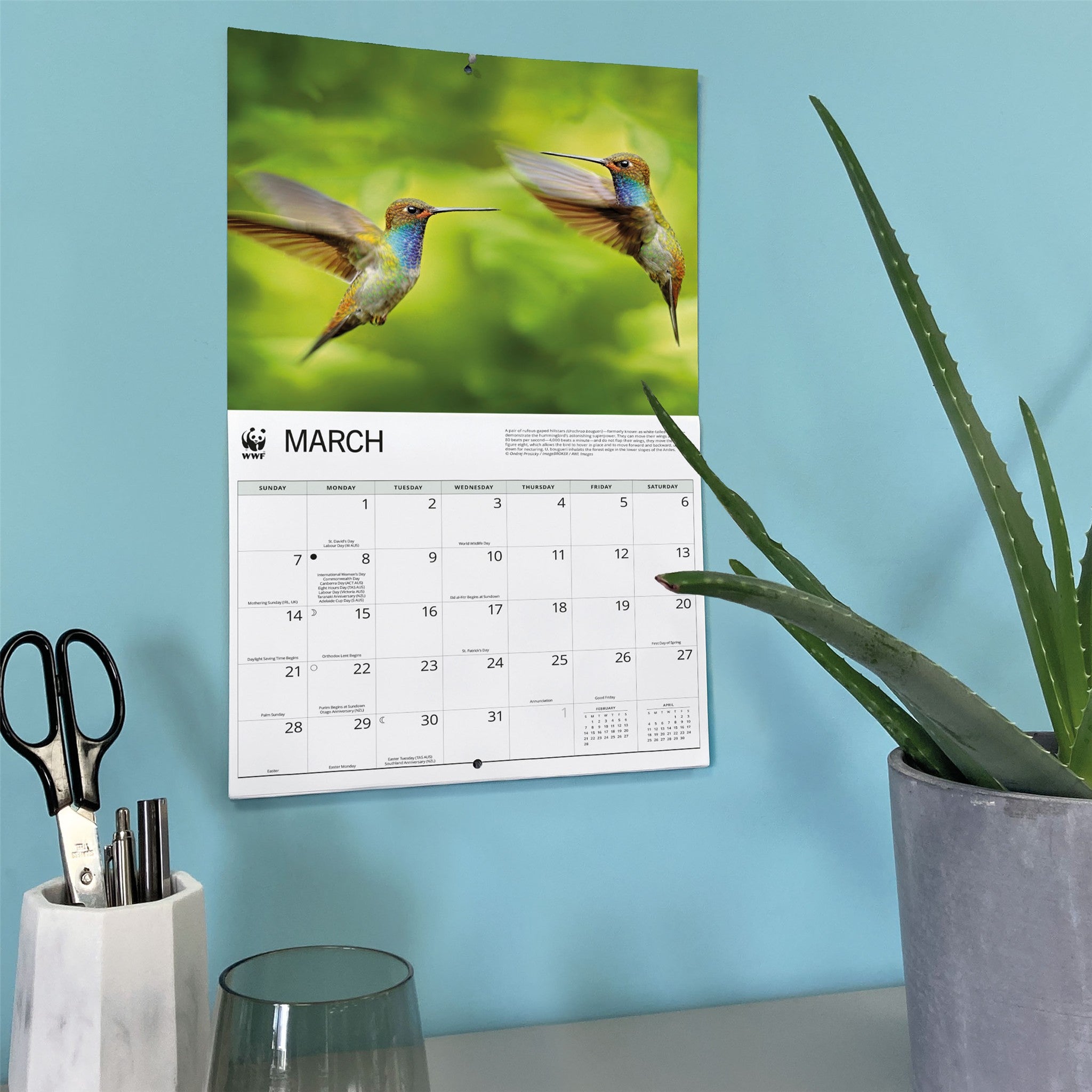Calendrier mural 2027 Colibris du Fonds mondial pour la nature