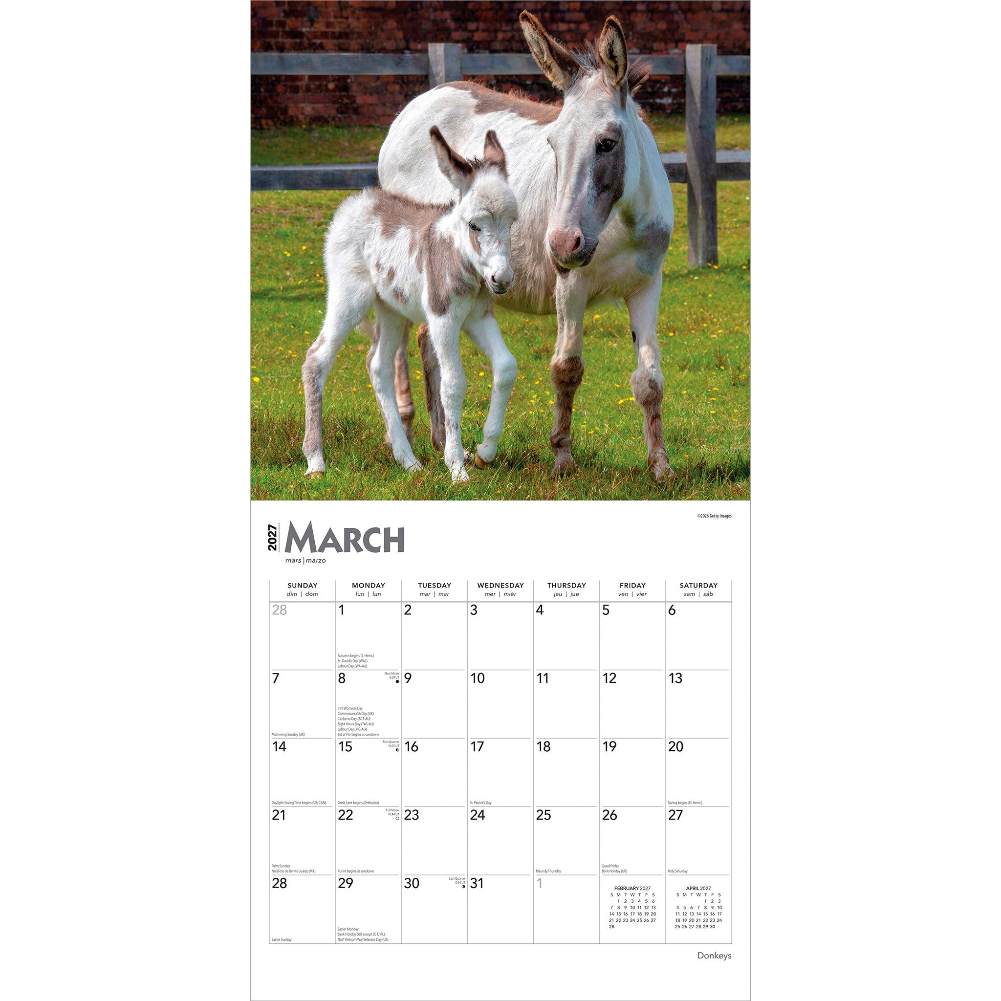 Donkeys 2027 Wall Calendar