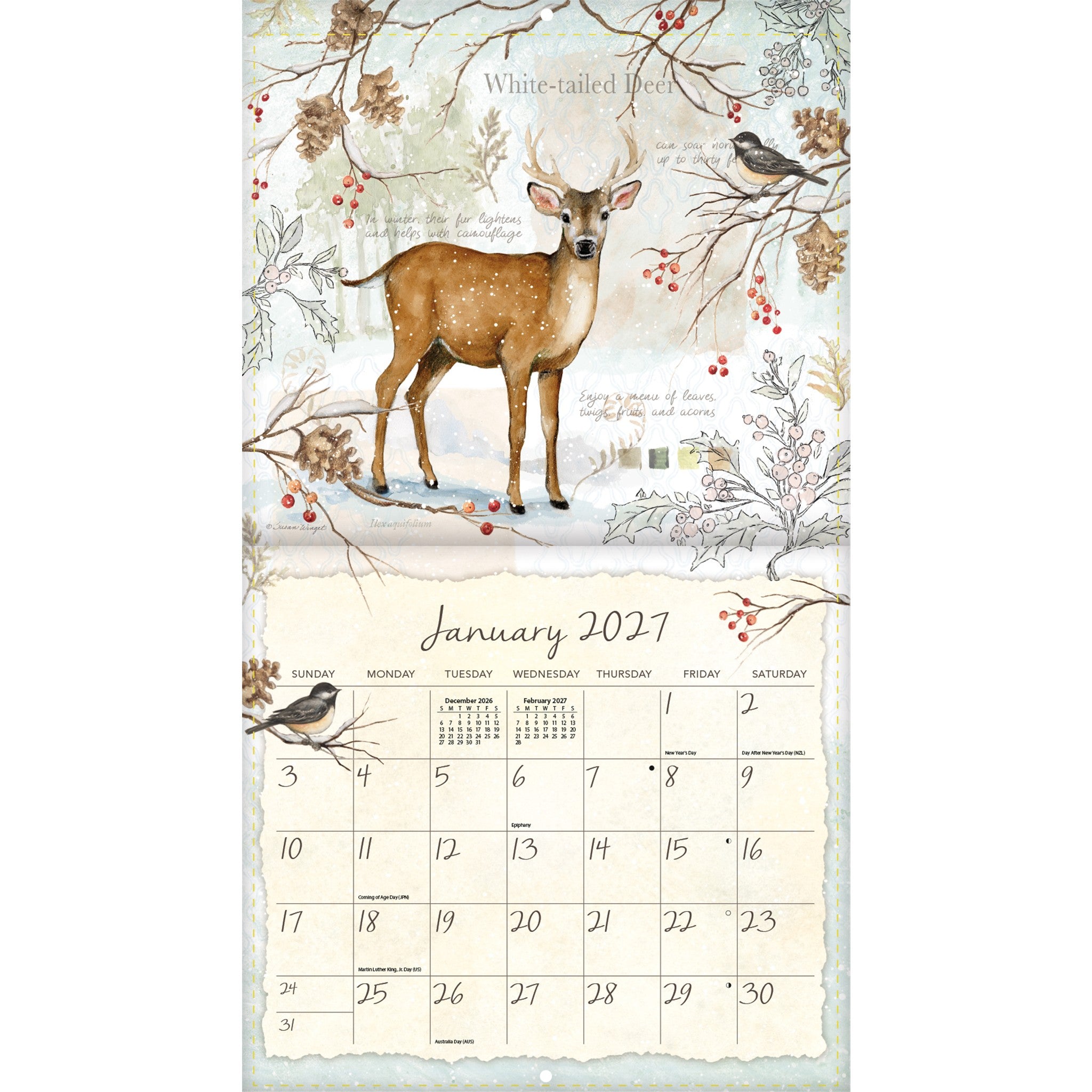Field Guide 2027 Wall Calendar