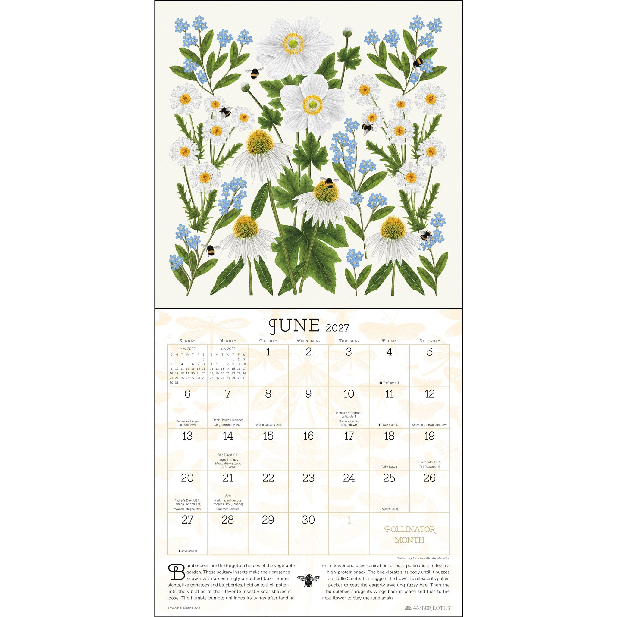 Éloges pour le calendrier mural 2027 des Pollinisateurs – en ligne uniquement