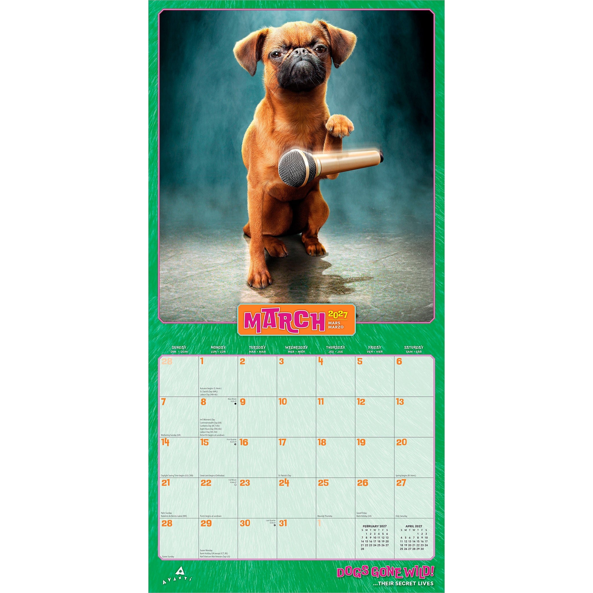 Dogs Gone Wild Avanti 2027 Wall Calendar