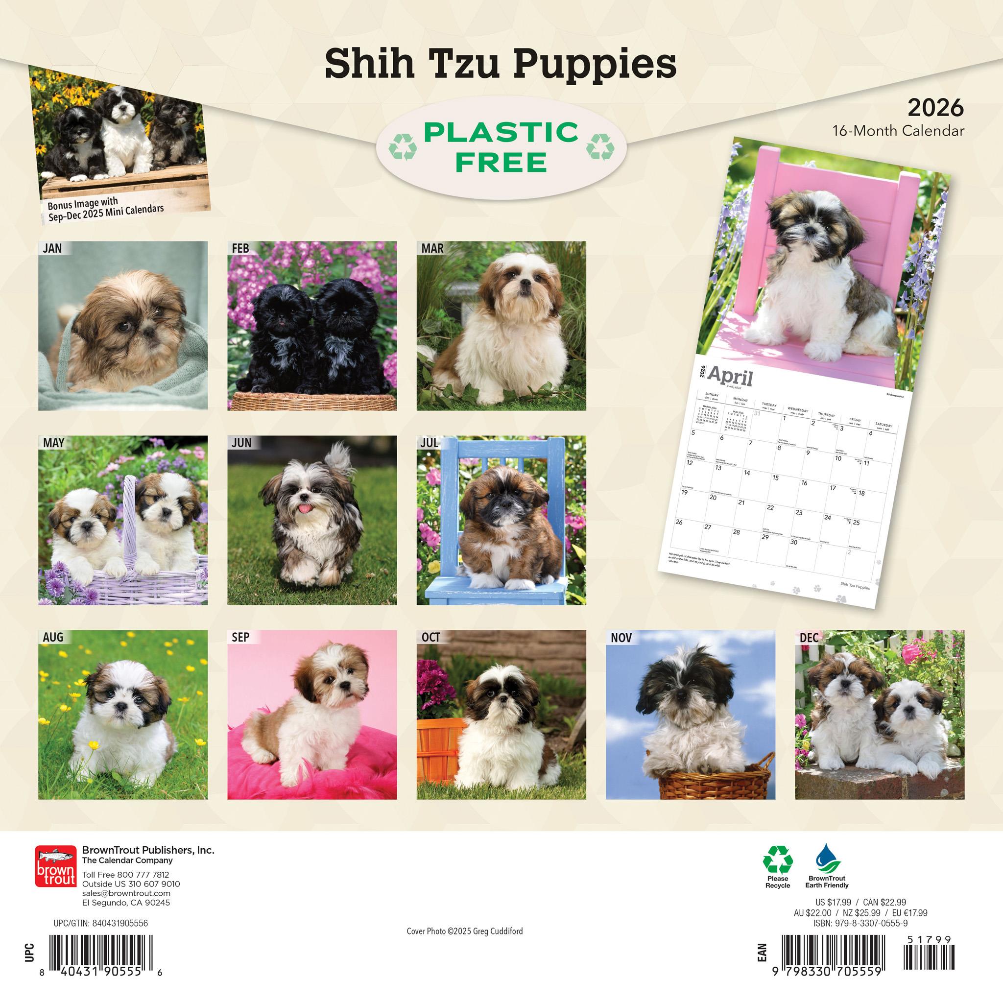 Calendrier mural des chiots Shih Tzu 2026