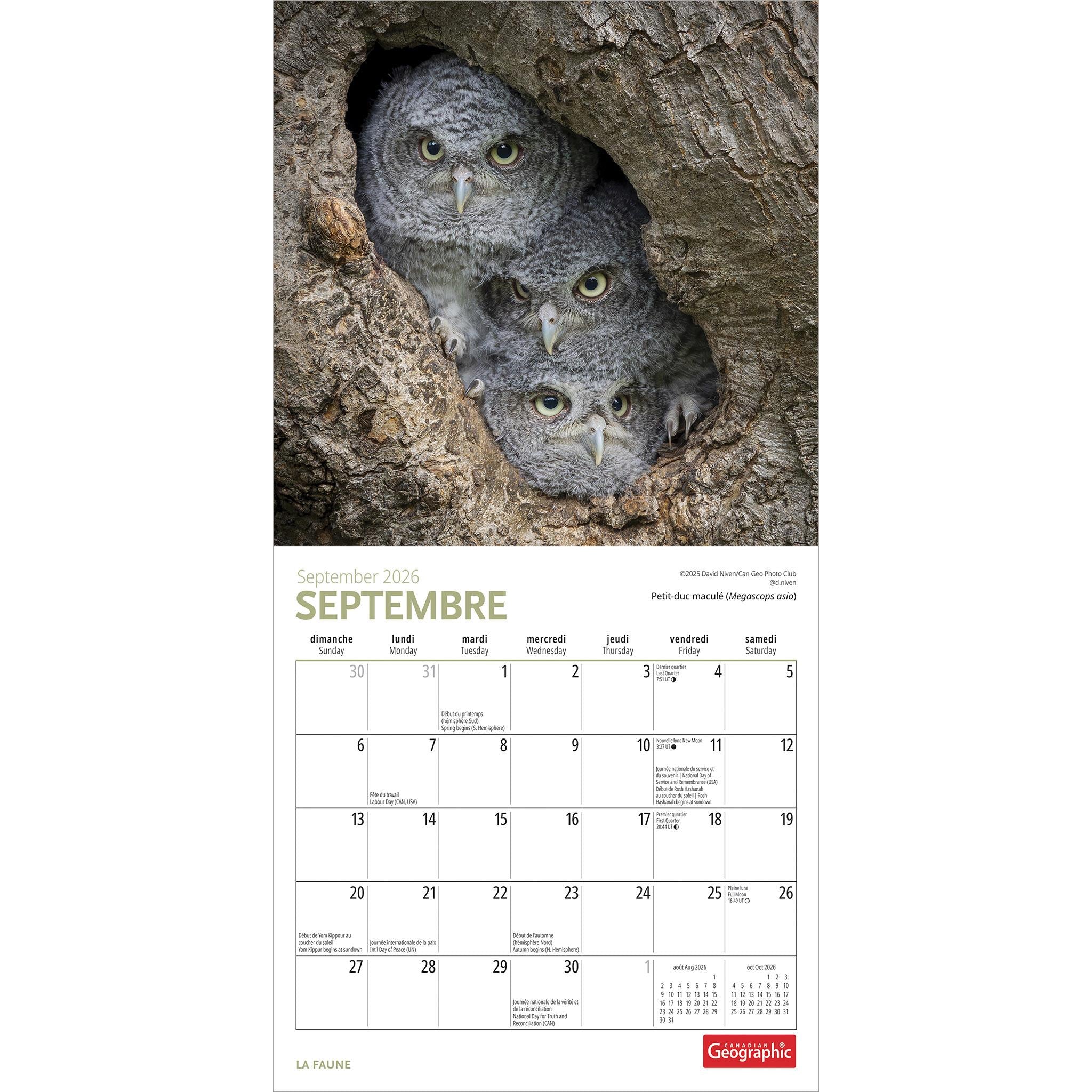 Calendrier miniature La Faune 2026 de Canadian Geographic (en français)