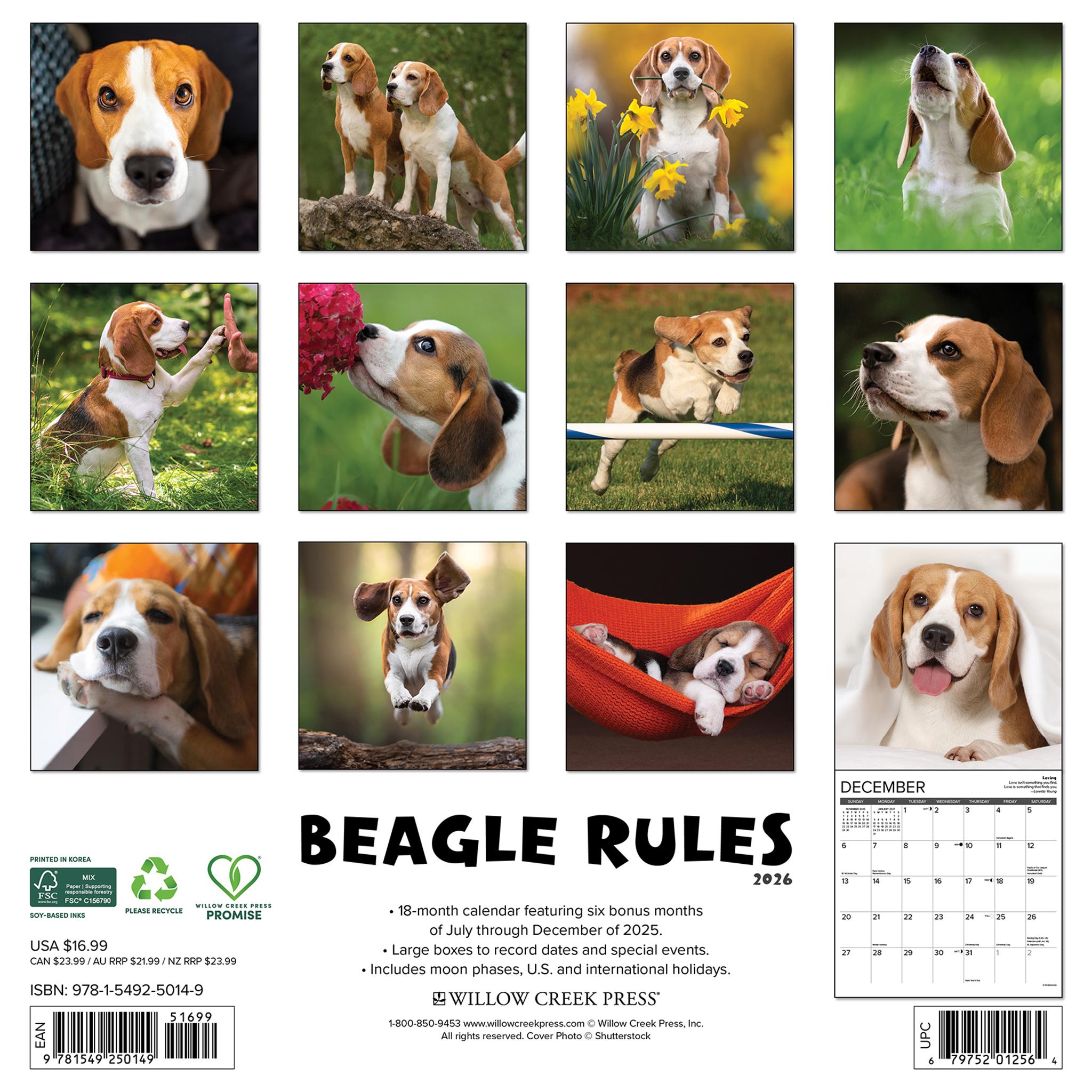 Calendrier mural Beagle Rules 2026 - Disponible uniquement en ligne