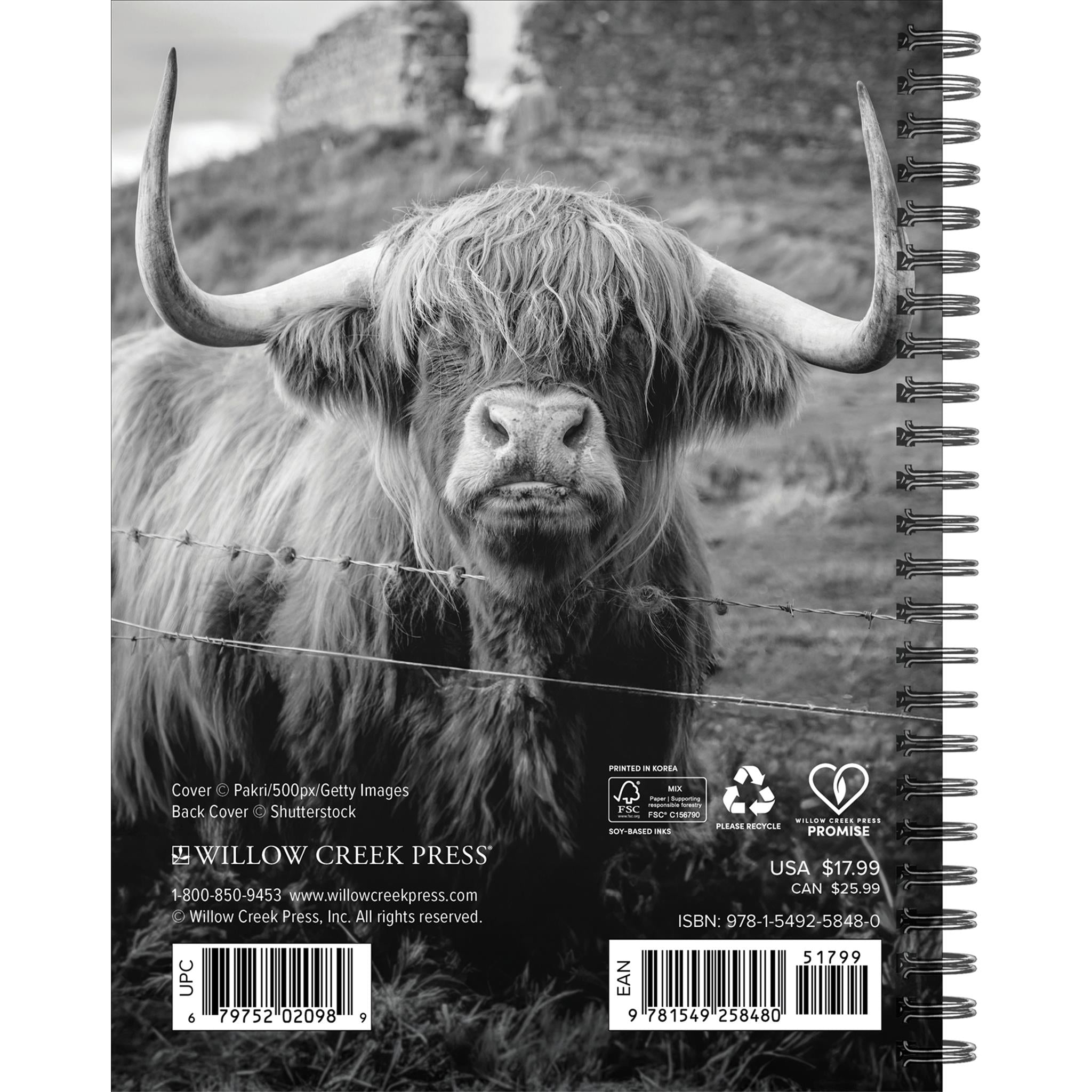 Calendrier des fiançailles des vaches des Highlands 2026