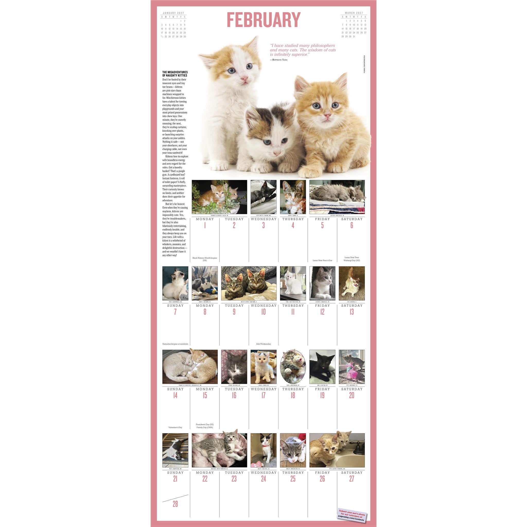 365 Kittens a Year 2027 Wall Calendar