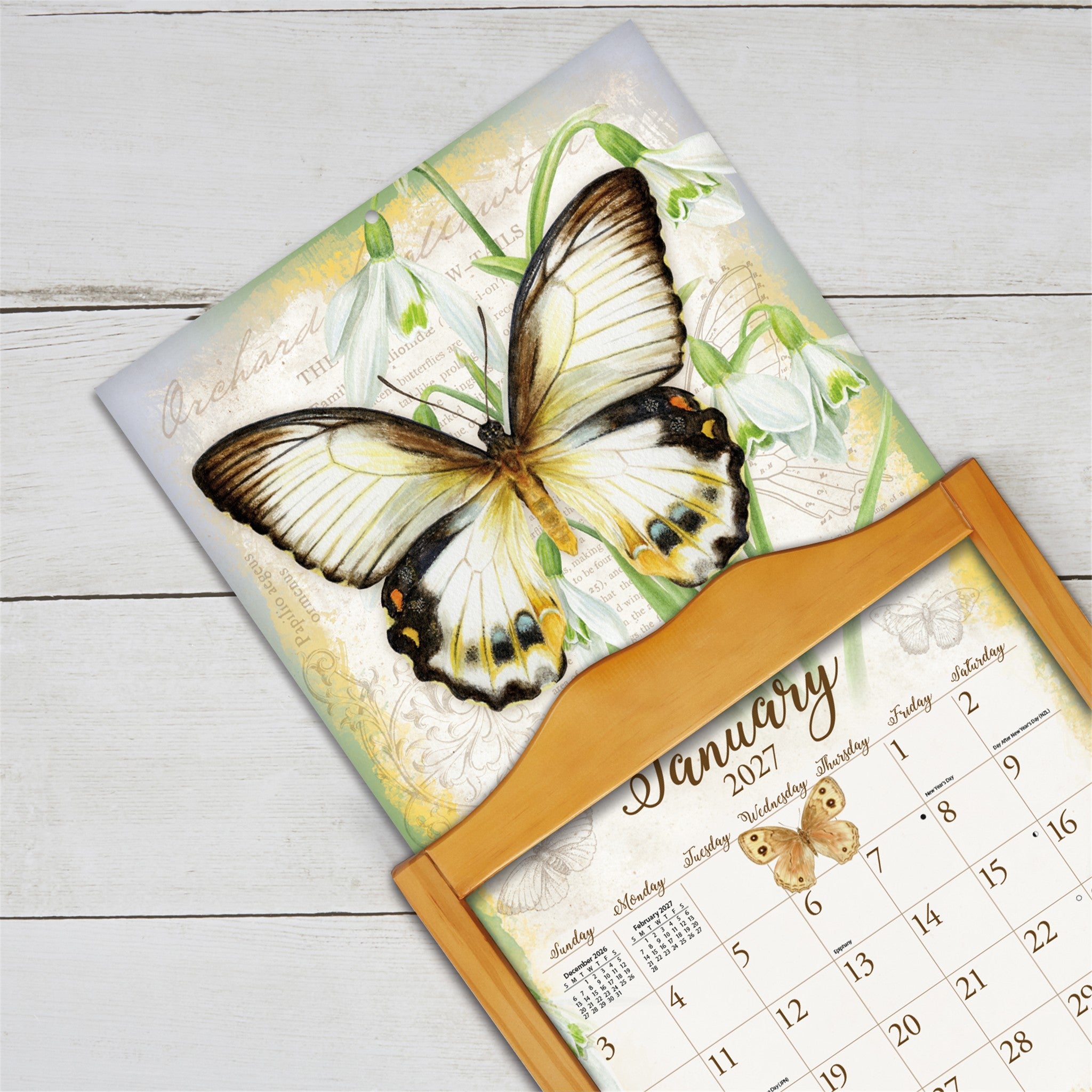 Butterflies 2027 Wall Calendar - Online Only