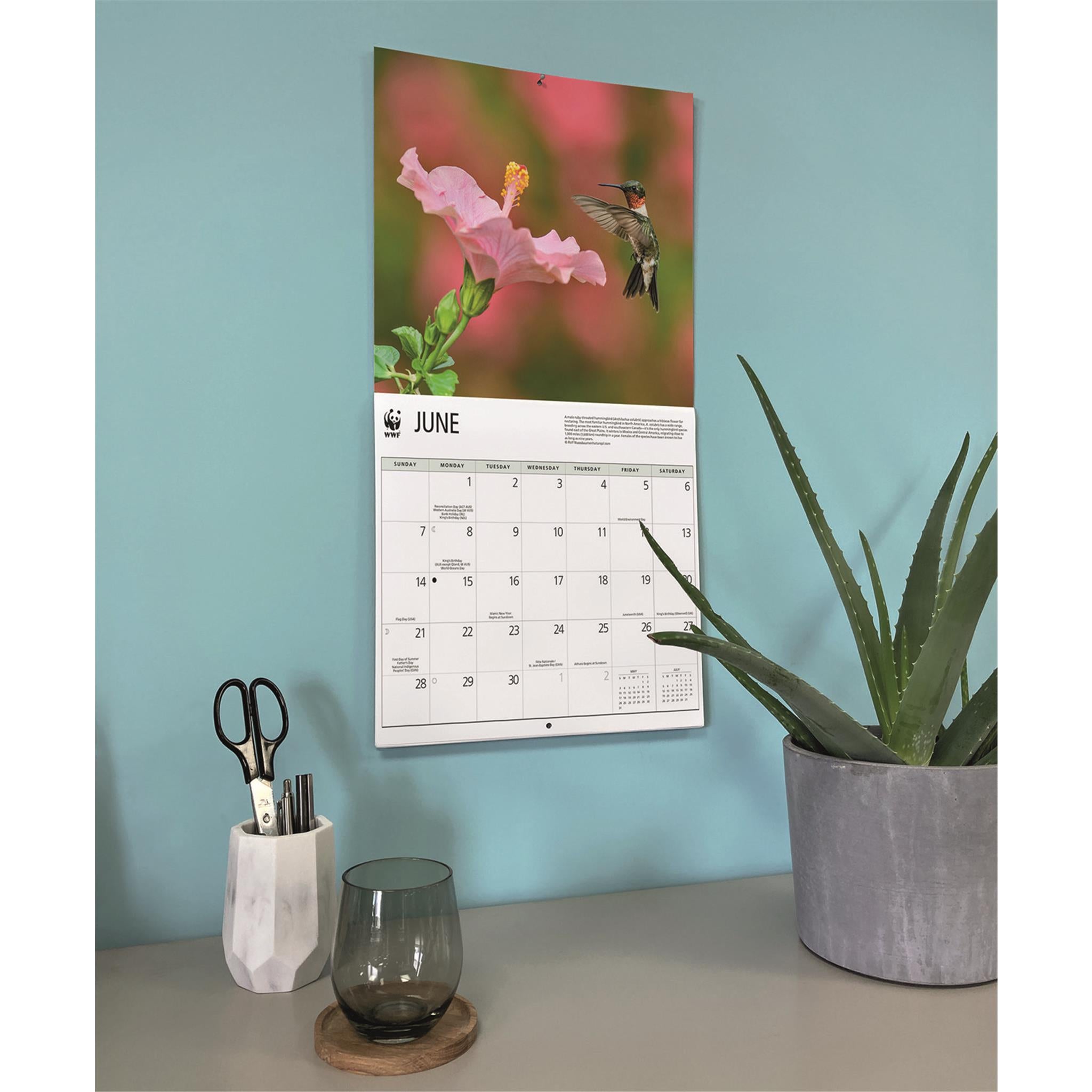 Calendrier mural 2026 du Fonds mondial pour la nature (WWF) sur les colibris