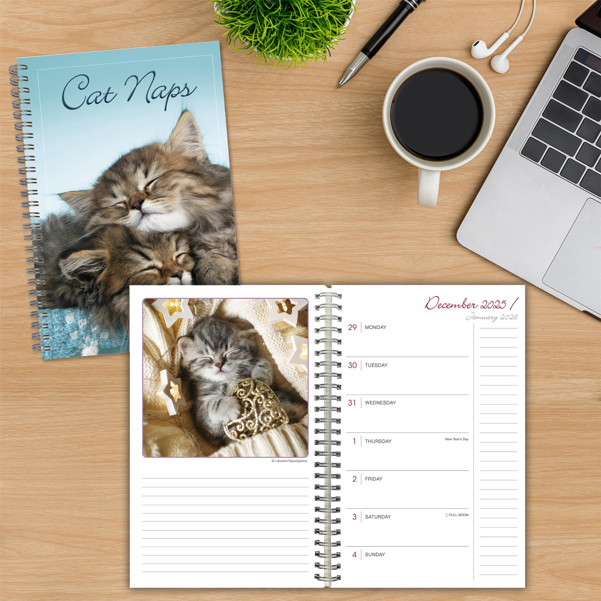 Calendrier des fiançailles Cat Naps 2025-2026