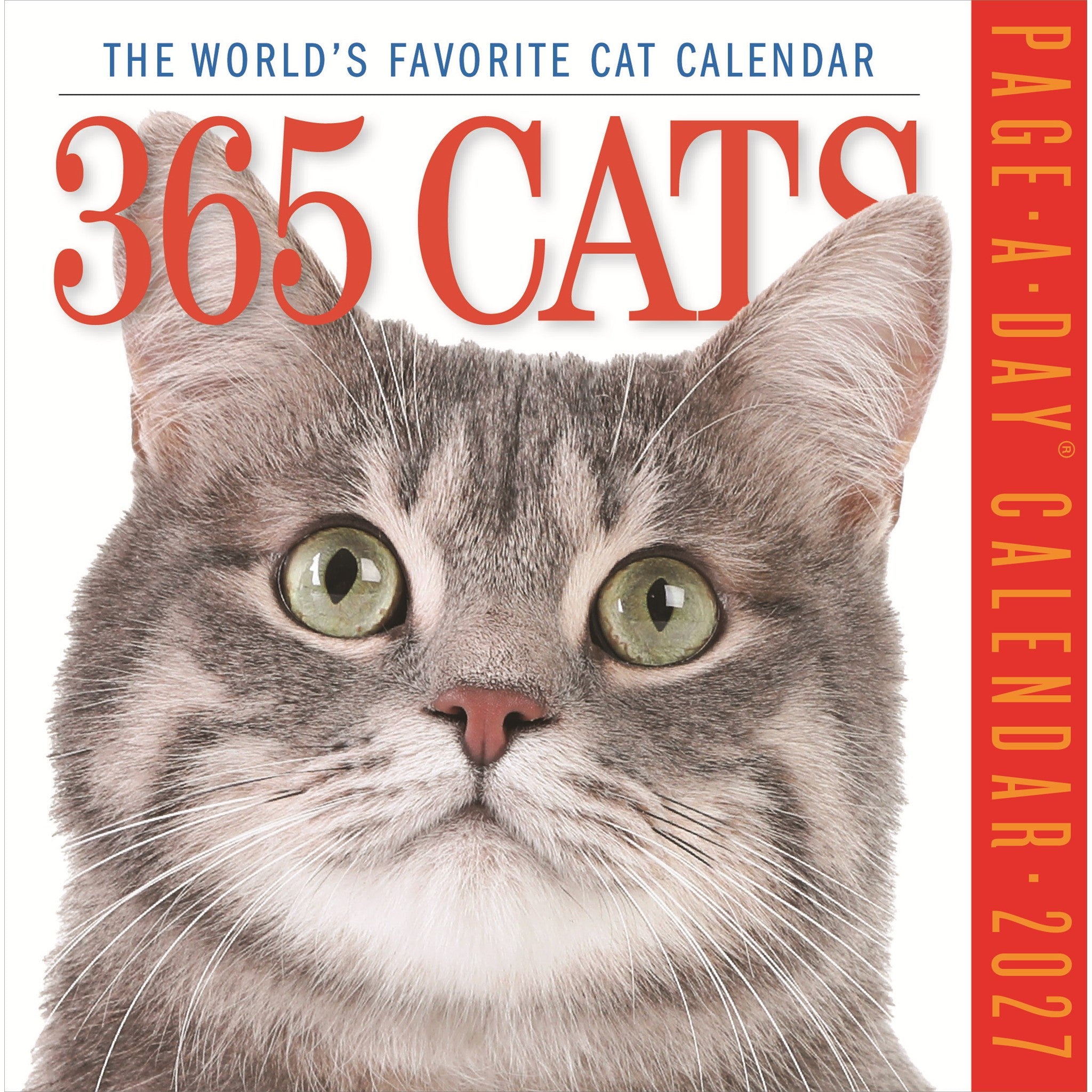 365 Cats 2027 Box Calendar