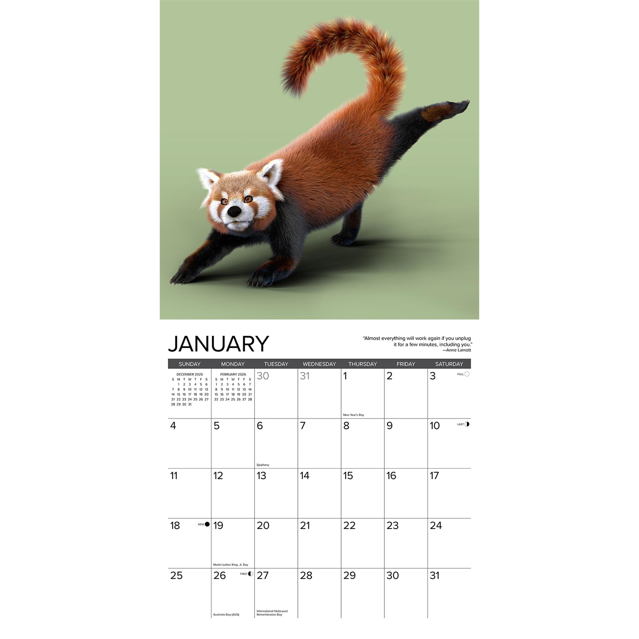 Red Panda 2026 Wall Calendar