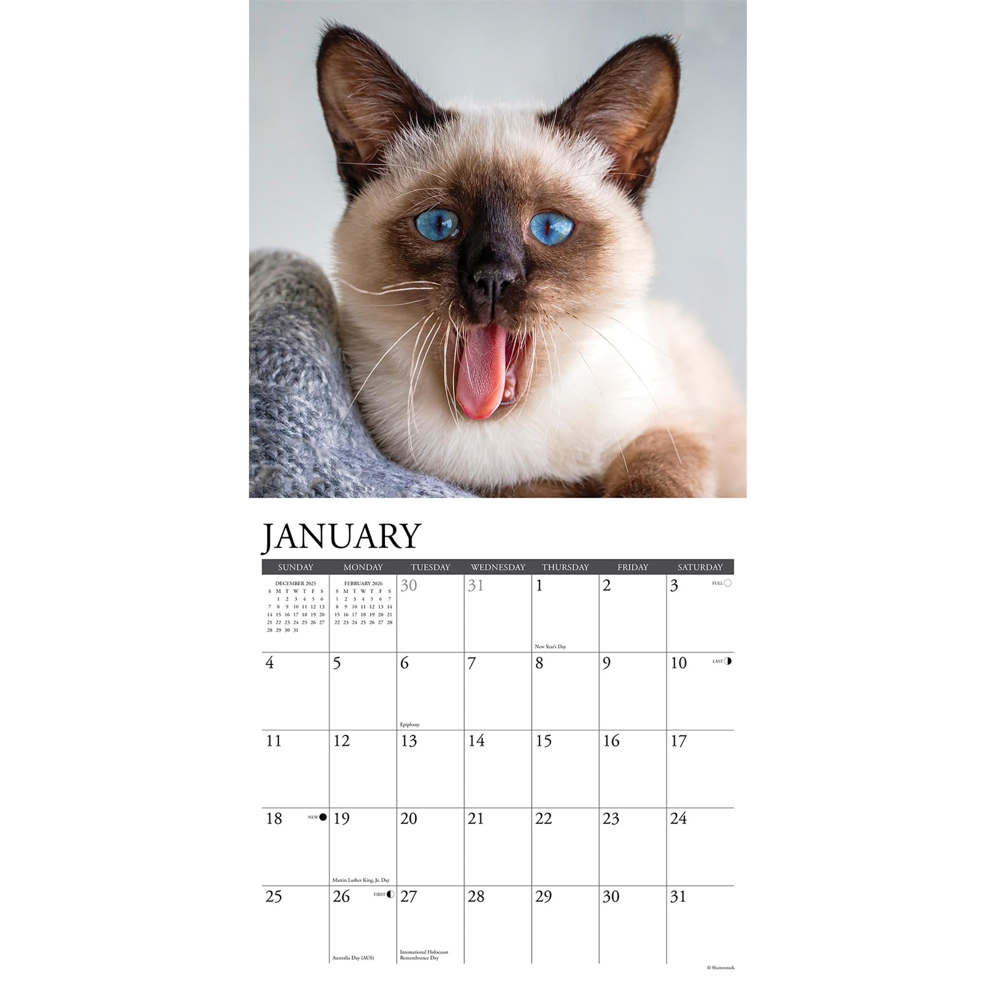 Siamese Cats 2026 Wall Calendar