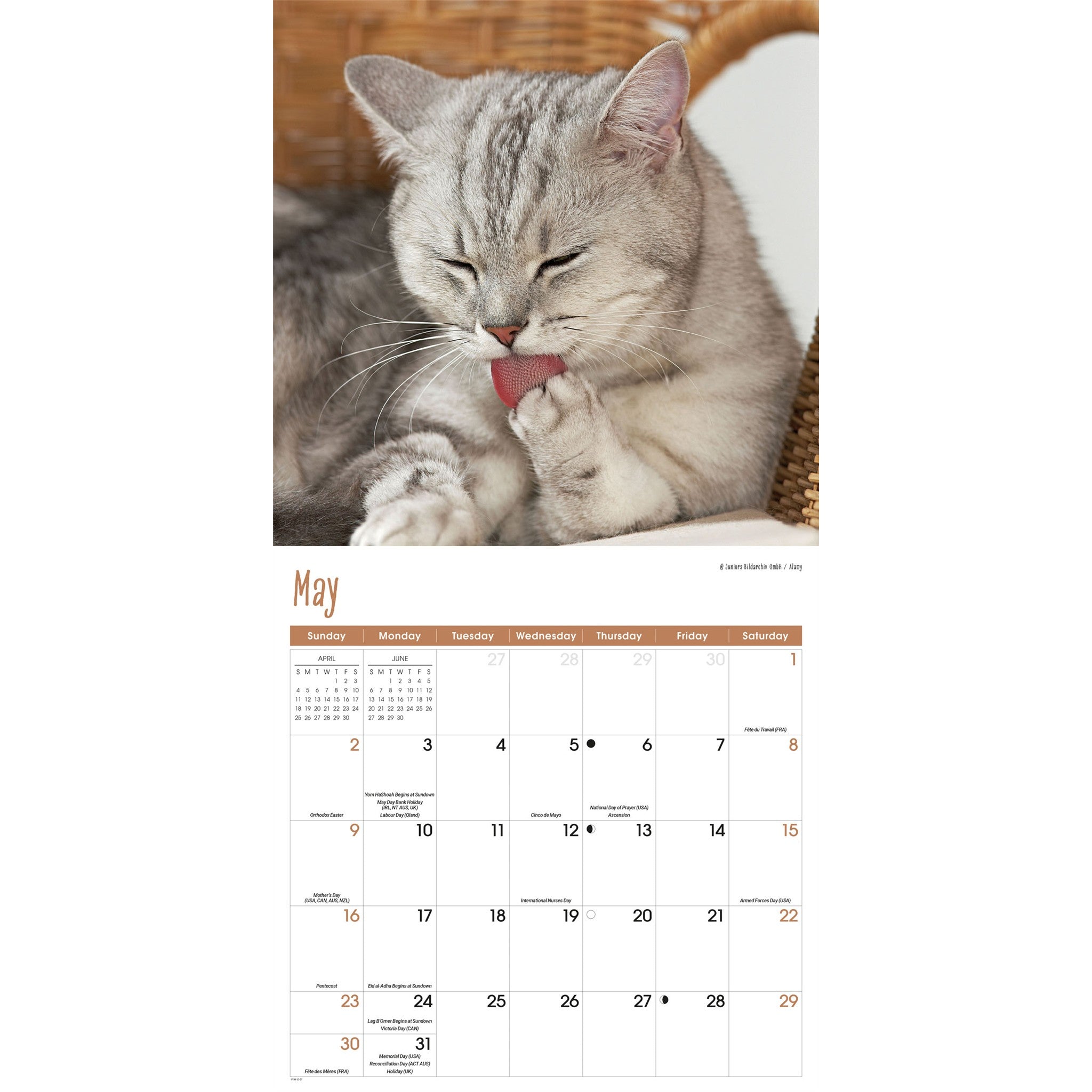 Calendrier mural 2027 Chats