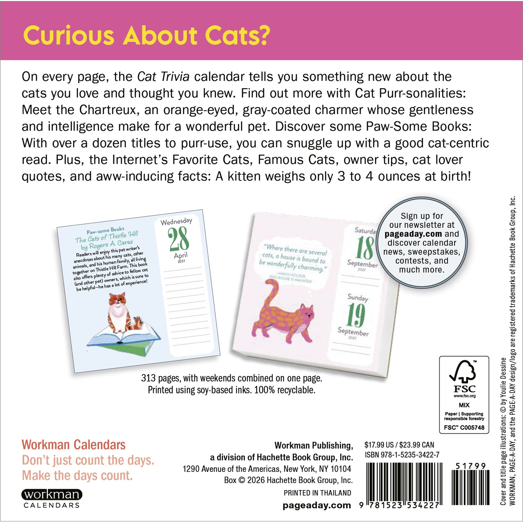 Cat Trivia 2027 Box Calendar