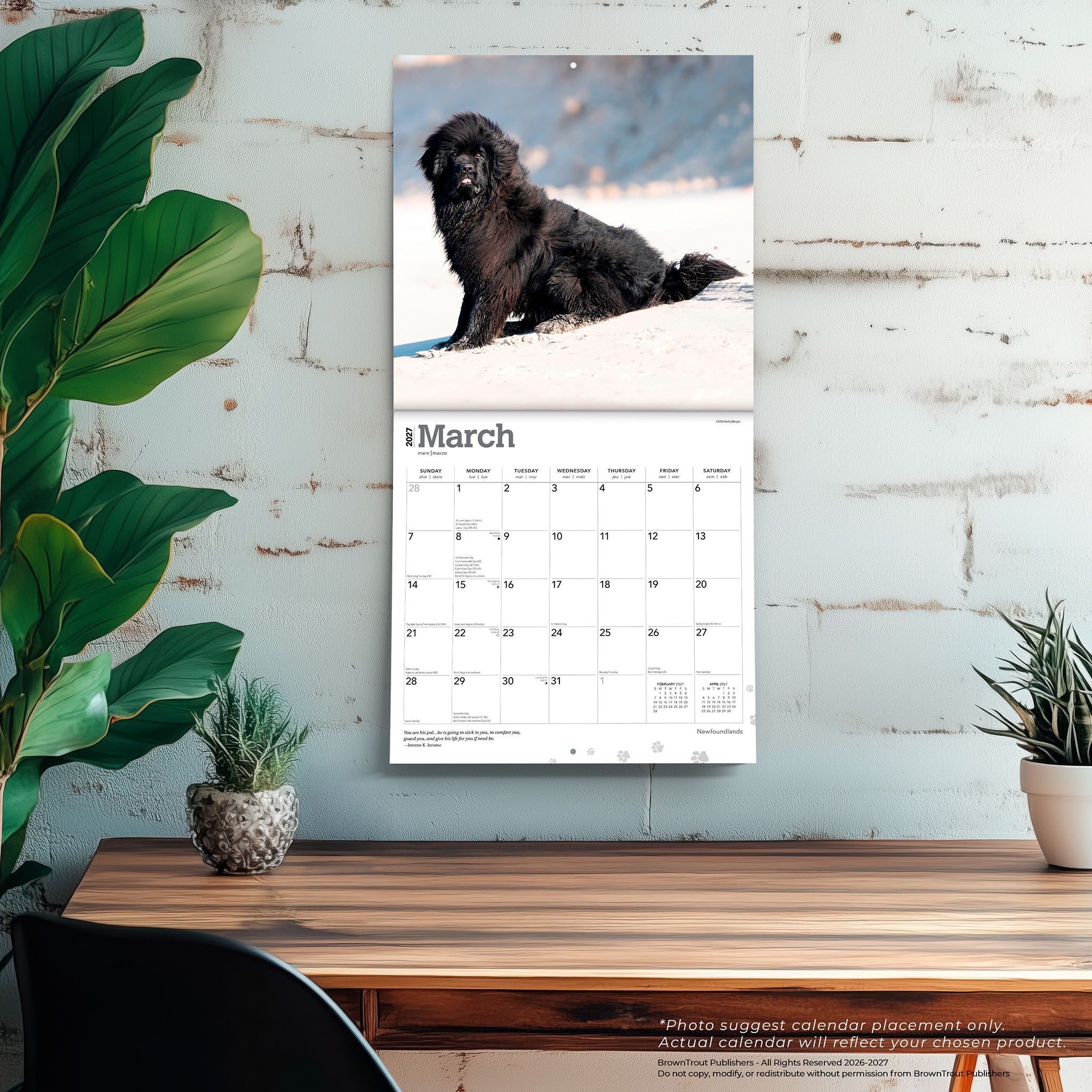 Newfoundlands 2027 Wall Calendar